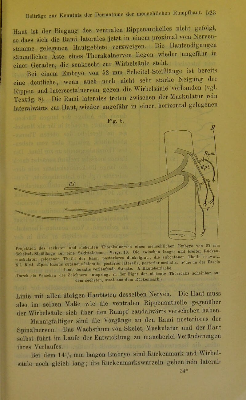 Haut ist der Biegung des ventralen lüppcnantheiles nielit gefolgt, so dasa sieh die Rami laterales jetzt in einem proximal vom Nerven- stamme gelegenen Hautgebiete verzweigen. Die Hautendigungen Bämmtlichei Äste eines Tborakalnerven liegen wieder ungefähr in einer Geraden, die senkrecht zur Wirbelsäule stellt. Bei einem Embryo von 52 mm Scheitel-Steißlänge ist bereits eine deutliehe, wenn auch noch nicht sehr starke Neigung der Rippen und lutercostalnervcn gegen die Wirbelsäule vorhanden (vgl. Textfig. S). Die Kami laterales treten zwischen der Muskulatur rem laterahvärts zur Haut, wieder ungefähr in einer, horizontal gelegenen Fig. 8. I.riljekU„n dos sechsten and siebenten ThoraValnerven eines menschlichen Embryo von 52 mm Scheitel-Steißlänge anf eine Sagittalebene. Vergr. 10. Die zwischen langer nnd breiter Rücken- muskulatur gelegenen Theile der Rami posteriores dunkelgrau, die subcutanen Theile schwarz. R.l. R.p.l, R.p.m Ramus cutaneus lateralis, posterior lateralis, posterior medialis. F die in der Fascia lumbodorsalis vorlaufende Strecke. 11 Hautoberflache. (Durch ein Versehen des Zeichners entspringt in der Figur der siebente Thoracalis scheinbar aus dem sechsten, statt aus dem Rückenmark.) Linie mit allen übrigen Hautästen desselben Nerven. Die Haut muss also im selben Maße wie die ventralen Rippenantheile gegenüber der Wirbelsäule sich Uber den Rumpf caudalwärts verschoben haben. Mannigfaltiger sind die Vorgänge an den Rami posteriores der Spinalnerven. Das Wachsthum von Skelet, Muskulatur und der Haut selbst führt im Laufe der Entwicklung zu mancherlei Veränderungen ihres Verlaufes. Bei dem 14'/2 mm langen Embryo sind Rückenmark und Wirbel- säule noch gleich lang; die Rückenmarkswurzeln gehen rein lateral- 34*