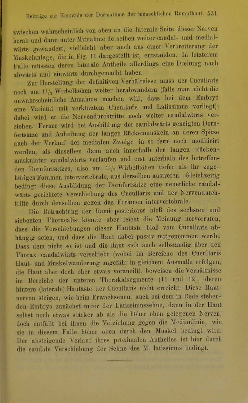 zwischen wahrscheinlich von oben an die laterale Seite dieser Nerven herab and dann unter Mitnahme derselben weiter caudal- und medial- wärts gewandert, vielleicht aber auch aus einer Verbreiterung der Muskelanlage, die in Fig. 11 dargestellt ist, entstanden. In letzterem Fülle mttssten deren laterale Antheile allerdings eine Drehung nach abwärts und einwärts durchgemacht haben. Zur Herstellung der definitiven Verhältnisse muss der Cucullaris noch um 17, Wirbelhöhen weiter herabwandern (falls man nicht die unwahrscheinliche Annahme machen will, dass bei dem Embryo eiue Varietät mit verkürztem Cucullaris und Latissimus vorliegt); dabei wird er die Nervendurchtritte noch weiter caudalwärts ver- ziehen. Ferner wird bei Ausbildung der caudalwärts geneigten Dorn- furtsätze und Anheftung der langen Rückenmuskeln an deren Spitze auch der Verlauf der medialen Zweige in so fern noch modificirt werden, als dieselben dann auch innerhalb der langen Rücken- muskulatur caudalwärts verlaufen und erst unterhalb des betreffen- den Dornfortsatzes, also um iy2 Wirbelhöhen tiefer als ihr zuge- höriges Foramen intervertebrale, aus derselben austreten. Gleichzeitig bedingt diese Ausbildung der Dornfortsätze eine neuerliche caudal- wärts gerichtete Verschiebung des Cucullaris und der Nervendurch- tritte durch denselben gegen das Foramen intervertebrale. Die Betrachtung der Rami posteriores bloß des sechsten und siebenten Thoracalis könnte aber leicht die Meinung hervorrufen, dass die Verschiebungen dieser Hautäste bloß vom Cucullaris ab- hängig seien, und dass die Haut dabei passiv mitgenommen werde. Dass dem nicht so ist und die Haut sich auch selbständig über den Thorax caudalwärts verschiebt (wobei im Bereiche des Cucullaris Haut- und Muskelwanderung ungefähr in gleichem Ausmaße erfolgen, die Haut aber doch eher etwas voraneilt), beweisen die Verhältnisse im Bereiche der unteren Thorakalsegmente (11 und 12), deren hintere (laterale) Hautäste der Cucullaris nicht erreicht. Diese Haut- nerven steigen, wie beim Erwachsenen, auch bei dem in Rede stehen- den Embryo zunächst unter der Latissimussehne, dann in der Haut selbst noch etwas stärker ab als die höher oben gelegenen Nerven, doch entfällt bei ihnen die Verziehung gegen die Medianlinie, wie sie in diesem Falle höher oben durch den Muskel bedingt wird. Der absteigende Verlauf ihres proximalen Anthciles ist hier durch die caudalc Verschiebung der Sehne des M. latissimus bedingt.