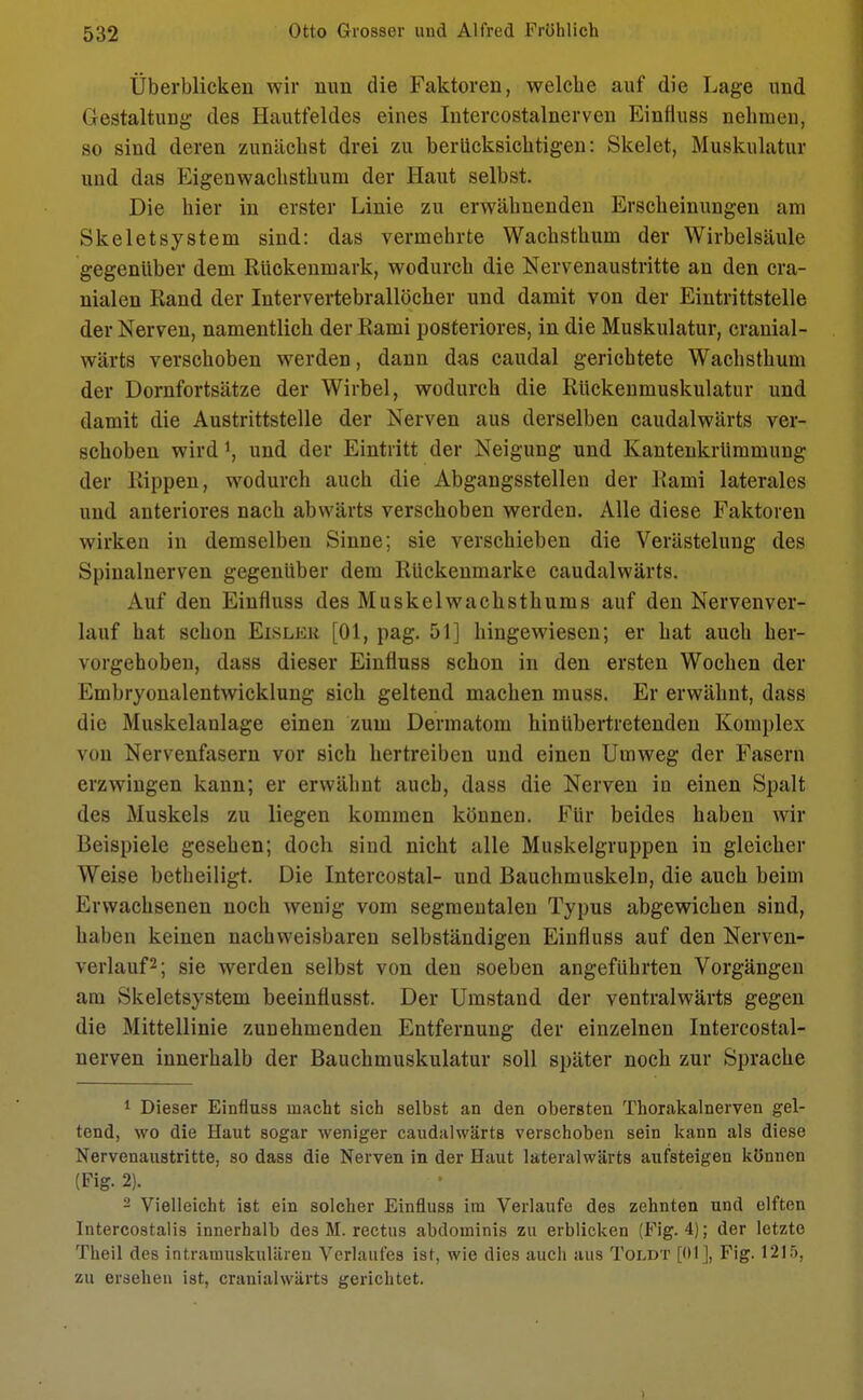 Überblicken wir nun die Faktoren, welche auf die Lage und Gestaltung des Hautfeldes eines Intercostalnerven Einfluss nehmen, so sind deren zunächst drei zu berücksichtigen: Skelet, Muskulatur und das Eigenwachsthum der Haut selbst. Die hier in erster Linie zu erwähnenden Erscheinungen am Skeletsystem sind: das vermehrte Wachsthum der Wirbelsäule gegenüber dem Rückenmark, wodurch die Nervenaustritte an den cra- nialen Rand der Intervertebrallöcher und damit von der Eintrittstelle der Nerven, namentlich der Rami posteriores, in die Muskulatur, cranial- wärts verschoben werden, dann das caudal gerichtete Wachsthum der Dornfortsätze der Wirbel, wodurch die Rückenmuskulatur und damit die Austrittstelle der Nerven aus derselben caudalwärts ver- schoben wird1, und der Eintritt der Neigung und Kantenkrümmung der Kippen, wodurch auch die Abgangsstellen der Rami laterales und anteriores nach abwärts verschoben werden. Alle diese Faktoren wirken in demselben Sinne; sie verschieben die Verästelung des Spinalnerven gegenüber dem Rückenmarke caudalwärts. Auf den Einfluss des Muskelwachsthums auf den Nerven ver- lauf hat schon Eisler [Ol, pag. 51] hingewiesen; er hat auch her- vorgehoben, dass dieser Einfluss schon in den ersten Wochen der Embryonalentwicklung sich geltend machen muss. Er erwähnt, dass die Muskelanlage einen zum Dermatom hinübertretenden Komplex von Nervenfasern vor sich hertreiben und einen Umweg der Fasern erzwingen kann; er erwähnt auch, dass die Nerven in einen Spalt des Muskels zu liegen kommen können. Für beides haben wir Beispiele gesehen; doch sind nicht alle Muskelgruppen in gleicher Weise betheiligt. Die Intercostal- und Bauchmuskeln, die auch beim Erwachsenen noch wenig vom segmentalen Typus abgewichen sind, haben keinen nachweisbaren selbständigen Einfluss auf den Nerven- verlauf2; sie werden selbst von den soeben angeführten Vorgängen am Skeletsystem beeinflusst. Der Umstand der ventralwärts gegen die Mittellinie zunehmenden Entfernung der einzelnen Intercostal- nerven innerhalb der Bauchmuskulatur soll später noch zur Sprache 1 Dieser Einfluss macht sich selbst an den obersten Thorakalnerven gel- tend, wo die Haut sogar weniger caudalwärts verschoben sein kann als diese Nervenaustritte, so dass die Nerven in der Haut lateralwärts aufsteigen können (Fig. 2). 2 Vielleicht ist ein solcher Einfluss im Verlaufe des zehnten und elften Intercostalis innerhalb des M. rectus abdominis zu erblicken (Fig. 4); der letzte Theil des intramuskulären Verlaufes ist, wie dies auch aus Toldt [Ol], Fig. 1215, zu ersehen ist, cranialwärts gerichtet.