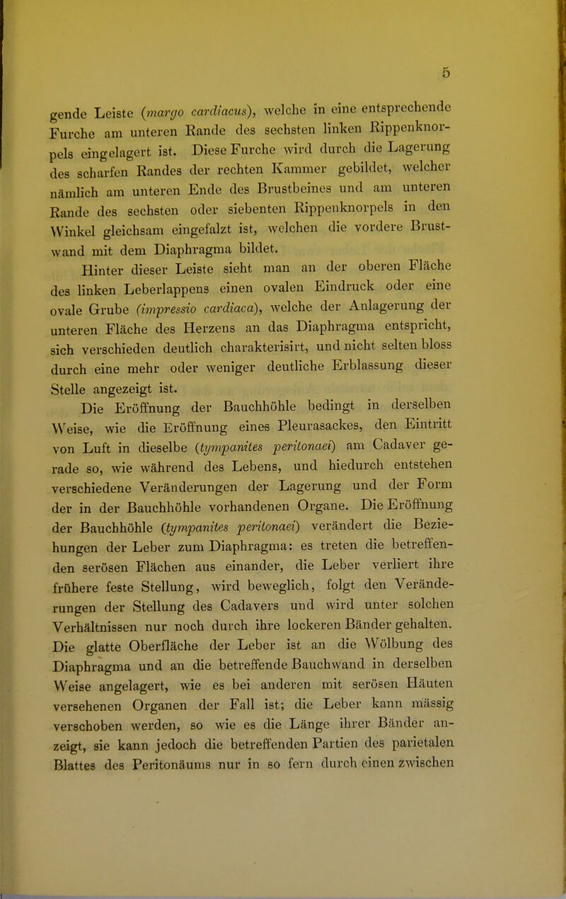 gende Leiste {margo cardiacus), welche in eine entsprechende Furche am unteren Rande des sechsten linken Rippenknor- pels eingelagert ist. Diese Furche wird durch die Lagerung des scharfen Randes der rechten Kammer gebildet, welcher nämlich am unteren Ende des Brustbeines und am unteren Rande des sechsten oder siebenten Rippenknorpels in den Winkel gleichsam eingefalzt ist, welchen die vordere Brust- wand mit dem Diaphragma bildet. Hinter dieser Leiste sieht man an der oberen Fläche des linken Leberlappens einen ovalen Eindruck oder eine ovale Grube (impressio cardiaca), welche der Anlagerung der unteren Fläche des Herzens an das Diaphragma entspricht, sich verschieden deutlich charakterisirt, und nicht selten bloss durch eine mehr oder weniger deutliche Erblassung dieser Stelle angezeigt ist. Die Eröffnung der Bauchhöhle bedingt in derselben Weise, wie die Eröffnung eines Pleurasackes, den Eintritt von Luft in dieselbe (tympanites peritonaei) am Cadaver ge- rade so, wie während des Lebens, und hiedurch entstehen verschiedene Veränderungen der Lagerung und der Form der in der Bauchhöhle vorhandenen Organe. Die Eröffnung der Bauchhöhle (tympanites peritonaei) verändert die Bezie- hungen der Leber zum Diaphragma: es treten die betreffen- den serösen Flächen aus einander, die Leber verliert ihre frühere feste Stellung, wird beweglich, folgt den Verände- rungen der Stellung des Cadavers und wird unter solchen Verhältnissen nur noch durch ihre lockeren Bänder gehalten. Die glatte Oberfläche der Leber ist an die Wölbung des Diaphragma und an die betreffende Bauchwand in derselben Weise angelagert, wie es bei anderen mit serösen Häuten versehenen Organen der Fall ist; die Leber kann mässig verschoben werden, so wie es die Länge ihrer Bänder an- zeigt, sie kann jedoch die betreffenden Partien des parietalen Blattes des Peritonäums nur in so fein durch einen zwischen