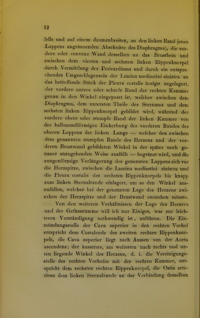 felis und auf einem daumenbreiten, an den linken Rand jenee Lappens angränzenden Abschnitte des Diaphragma), die vor- dere oder convexe Wand desselben an das Brustbein und zwischen dem vierten und sechsten linken Rippenknorpel durch Vermittlung des Pericardiums und durch ein entspre- chendes Umgeschlagensein der Lamina mediastini sinistra an das betreffende Stück der Pleura costalis innigst angelagert, der vordere untere oder scharfe Rand der rechten Kammer genau in den Winkel eingepasst ist, welcher zwischen dem Diaphragma, dem untersten Theile des Sternums und dem sechsten linken Rippenknorpel gebildet wird, während der vordere obere oder stumpfe Rand der linken Kammer von der halbmondförmigen Einkerbung des vorderen Randes des oberen Lappens der linken Lunge — welcher den zwischen dem genannten stumpfen Rande des Herzens und der vor- deren Brustwand gebildeten Winkel in der später noch ge- nauer anzugebenden Weise ausfüllt — begränzt wird, und die zungenförmige Verlängerung des genannten Lappens sich vor die Herzspitze, zwischen die Lamina mediastini sinistra und die Pleura costalis des sechsten Rippenknorpels bis knapp zum linken Sternalrande einlagert, um so den Winkel aus- zufüllen, welcher bei der genannten Lage des Herzens zwi- schen der Herzspitze und der Brustwand entstehen müsste. Von den weiteren Verhältnissen der Lage des Herzens und der Gefässstämme will ich nur Einiges, was zur leich- teren Verständigung nothwendig ist, anführen. Die Ein- mündungsstelle der Cava superior in den rechten Vorhof entspricht dem Costalende des zweiten rechten Rippenknor- pels, die Cava superior liegt nach Aussen von der Aorta ascendens; der äusserste, am weitesten nach rechts und un- ten liegende Winkel des Herzens, d. i. die Vereinigungs- stelle des rechten Vorhofes mit der rechten Kammer, ent- spricht dem sechsten rechten Rippenknorpel, die Ostia arte- riosa dem linken Sternalrande an der Verbindung desselben