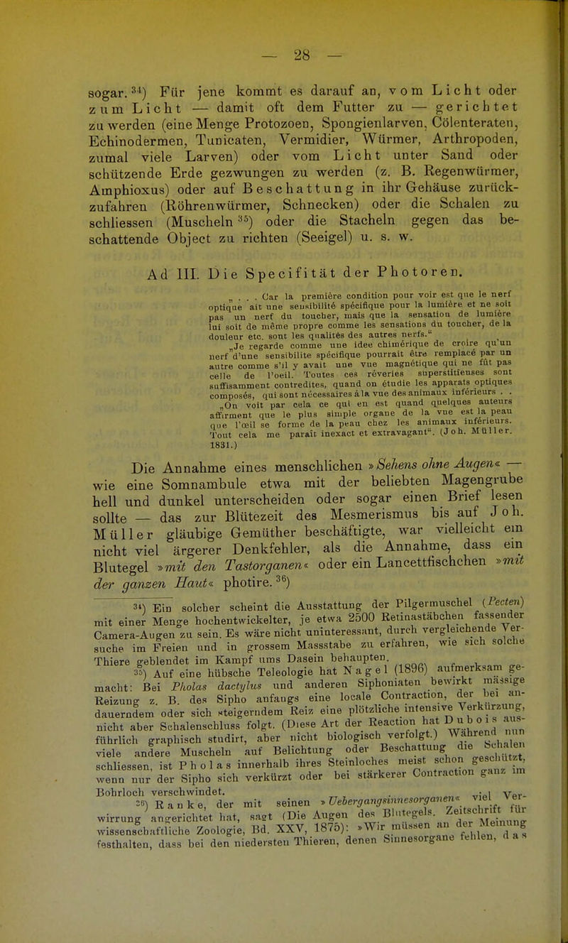 sogar.3l) Für jene kommt es darauf an, vom Licht oder zum Licht — damit oft dem Futter zu — gerichtet zu werden (eine Menge Protozoen, Spongienlarven, Cölenteraten, Echinodermen, Tunicaten, Vermidier, Würmer, Arthropoden, zumal viele Larven) oder vom Licht unter Sand oder schützende Erde gezwungen zu werden (z. B. Regenwürmer, Amphioxus) oder auf Beschattung in ihr Gehäuse zurück- zufahren (Röhrenwürmer, Schnecken) oder die Schalen zu schliessen (Muscheln35) oder die Stacheln gegen das be- schattende Object zu richten (Seeigel) u. s. w. Ad III. Die Specifität der Photoren. . Car la premiere condition pour voir est que le nerf optiq'ue ait une seusibilite specifique pour la lumiere et ne soit pas un nerf du toucher, mais que la Sensation de lumiere lui soit de meme propre comme les sensations du toucher, de la douleur etc. sout les qualites des autres nerfs. Je regarde comme une idee chimerique de croire qu un nerfd'une sensibilite specifique pourrait etre remplace par un autre comme s'il y avait une vue magnetique qui ne fut pas celle de l'oeil. Toutes ces reveries superstitieuses sont suffisamment contredites, quand on etudie les apparats optiques composes, qui sont nccessaires äla vue des animaux infeneurs . . „On voit par cela ce qui en est quand quelques auteurs affirment que le plus simple organe de la vue est la peau que l'oeil se forme de la peau ctaez les animaux infeneurs. Tout cela me parait inexact et extravagant. (Jon. Muller. 1831.) Die Annahme eines menschlichen »Sehens ohne Augen« — wie eine Somnambule etwa mit der beliebten Magengrube hell und dunkel unterscheiden oder sogar einen Brief lesen sollte — das zur Blütezeit des Mesmerismus bis auf Joh. Müller gläubige Gemüther beschäftigte, war vielleicht ein nicht viel ärgerer Denkfehler, als die Annahme, dass ein Blutegel »mit den Tastorganen* oder ein Lancetthschchen »mit der ganzen Haut«, photire.36) 3») Ein solcher scheint die Ausstattung der Pilgermuschel (Pecten) mit einer Menge hochentwickelter, je etwa 2500 Retinastäbchen fassender Camera-Augen zu sein. Es wäre nicht uninteressant, durch vergleichende Ver- suche im Freien und in grossem Massstabe zu erfahren, wie sich solche Thiere geblendet im Kampf ums Dasein behaupten »») Auf eine hübsche Teleologie hat Nagel (1896) aufmerksam ge- macht: Bei Pholas dactylus und anderen Siphoniaten bewirkt massige Reizung z B. des Sipho anfangs eine locale Contraction, der bei an- dauerndem oder sich steigerndem Reiz eine plötzliche .intensive Verkürzung nicht aber Schalenschluss folgt. (D.ese Art der Reaction hat D■ u b c . s aus fuhrlich graphisch studirt, aber nicht biologisch verfolgt.) Wkhrend nun viele andere Muscheln auf Belichtung o er Beschattung » btta schliessen, ist P h o 1 a s innerhalb ihres Ste.nloches meist SdhoflJT^g wenn nur der Sipho sich verkürzt oder bei stärkerer Contract.on ganz im Bohrloch verschwindet. . . i v :»)Eanke, der mit seinen »üebergangwmesorgaJe Ver wirrung Ungerichtet hat, sa2t (Die Augen des Blutegels Zei schnft ui wissenschaftliche Zoologie, Bd. XXV, 1875): »Wir müssen an der Meinung festhalten, dass bei den niedersten Thieren, denen S.unesorgane fehlen, d a s