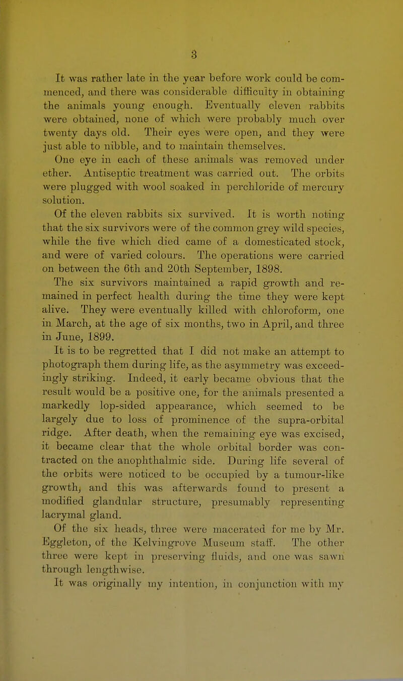 It was rather late in the year before work could be com- menced, and there was considerable difficulty in obtaining the animals young enough. Eventually eleven rabbits were obtained, none of which were probably much over twenty days old. Their eyes were open, and they were just able to nibble, and to maintain themselves. One eye in each of these animals was removed under ether. Antiseptic treatment was carried out. The orbits were plugged with wool soaked in perchloride of mercury solution. Of the eleven rabbits six survived. It is worth noting that the six survivors were of the common grey wild species, while the five which died came of a domesticated stock, and were of varied colours. The operations were carried on between the 6th and 20th September, 1898. The six survivors maintained a rapid growth and re- mained in perfect health during the time they were kept alive. They were eventually killed with chloroform, one in March, at the age of six months, two in April, and three in June, 1899. It is to be regretted that I did not make an attempt to photograph them during life, as the asymmetry was exceed- ingly striking. Indeed, it early became obvious that the result would be a positive one, for the animals presented a markedly lop-sided appearance, which seemed to be largely due to loss of prominence of the supra-orbital ridge. After death, when the remaining eye was excised, it became clear that the whole orbital border was con- tracted on the anophthalmic side. During life several of the orbits were noticed to be occupied by a tumour-like growth, and this was afterwards found to present a modified glandular structure, presumably representing lacrymal gland. Of the six heads, three were macerated for me by Mr. Eggleton, of the Kelvingro've Museum staff. The other three were kept in preserving Quids, and one was sawn through lengthwise. It was originally my intention, in conjunction with my