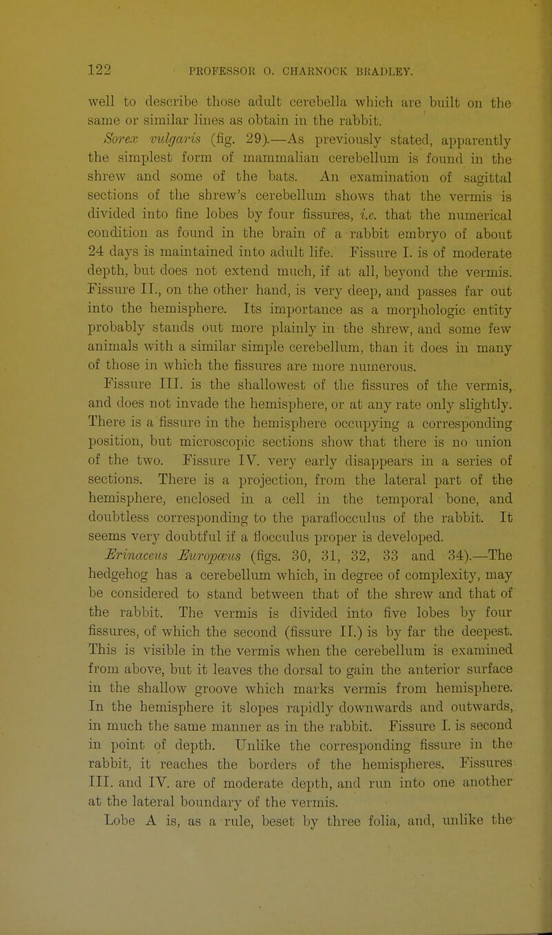 well to describe those adult cerebella which are built on the same or similar lines as obtain in the rabbit. Sorex vulgaris (fig. 29).—As previously stated, apparently the simplest form of mammalian cerebellum is found in the shrew and some of the bats. An examination of sagittal sections of the shrew's cerebellum shows that the vermis is divided into fine lobes by four fissures, i.e. that the numerical condition as found in the brain of a rabbit embryo of about 24 clays is maintained into adult life. Fissure I. is of moderate depth, but does not extend much, if at all, beyond the vermis. Fissure II., on the other hand, is very deep, and passes far out into the hemisphere. Its importance as a morphologic entity probably stands out more plainly in the shrew, and some few animals with a similar simple cerebellum, than it does in many of those in which the fissures are more numerous. Fissure III. is the shallowest of the fissures of the vermis,, and does not invade the hemisphere, or at any rate only slightly. There is a fissure in the hemisphere occupying a corresponding position, but microscopic sections show that there is no union of the two. Fissure IV. very early disappears in a series of sections. There is a projection, from the lateral part of the hemisphere, enclosed in a cell in the temporal bone, and doubtless corresponding to the paraflocculus of the rabbit. It seems very doubtful if a flocculus proper is developed. Urinaceus Miropceus (figs. 30, 31, 32, 33 and 34).—The hedgehog has a cerebellum which, in degree of complexity, may be considered to stand between that of the shrew and that of the rabbit. The vermis is divided into five lobes by four fissures, of which the second (fissure II.) is by far the deepest. This is visible in the vermis when the cerebellum is examined from above, but it leaves the dorsal to gain the anterior surface in the shallow groove which marks vermis from hemisphere. In the hemisphere it slopes rapidly downwards and outwards, in much the same manner as in the rabbit. Fissure I. is second in point of depth. Unlike the corresponding fissure in bhe rabbit, it reaches the borders of the hemispheres. Fissures III. and IV. are of moderate depth, and rim into one another at the lateral boundary of the vermis. Lobe A is, as a rule, beset by three folia, and, unlike the