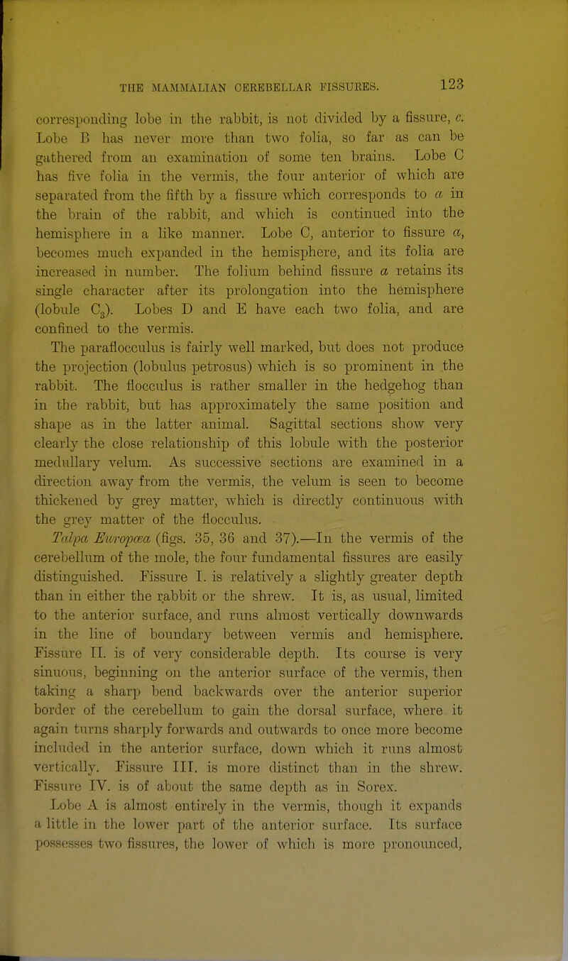 corresponding lobe in the rabbit, is not divided by a fissure, c: Lobe B has never more than two folia, so far as can be gathered from an examination of some ten brains. Lobe C has five folia in the vermis, the four anterior of which are separated from the fifth by a fissure which corresponds to a in the brain of the rabbit, and which is continued into the hemisphere in a like manner. Lobe C, anterior to fissure a, becomes much expanded in the hemisphere, and its folia are increased in number. The folium behind fissure a retains its single character after its prolongation into the hemisphere (lobule C3). Lobes D and E have each two folia, and are confined to the vermis. The paraflocculus is fairly well marked, but does not produce the projection (lobulus petrosus) which is so prominent in the rabbit. The flocculus is rather smaller in the hedgehog than in the rabbit, but has approximately the same position and shape as in the latter animal. Sagittal sections show very clearly the close relationship of this lobule with the posterior medullary velum. As successive sections are examined in a direction away from the vermis, the velum is seen to become thickened by grey matter, which is directly continuous with the grey matter of the flocculus. Talpa Europcea (figs. 35, 36 and 37).—In the vermis of the cerebellum of the mole, the four fundamental fissures are easily distinguished. Fissure I. is relatively a slightly greater depth than in either the rabbit or the shrew. It is, as usual, limited to the anterior surface, and runs almost vertically downwards in the line of boundary between vermis and hemisphere. Fissure II. is of very considerable depth. Its course is very sinuous, beginning on the anterior surface of the vermis, then taking a sharp bend backwards over the anterior superior border of the cerebellum to gain the dorsal surface, where it again turns sharply forwards and outwards to once more become included in the anterior surface, down which it runs almost vertically. Fissure III. is more distinct than in the shrew. Fissure IV. is of about the same depth as in Sorex. Lobe A is almost entirely in the vermis, though it expands a little in the lower part of the anterior surface. Its surface possesses two fissures, the lower of which is more pronounced,