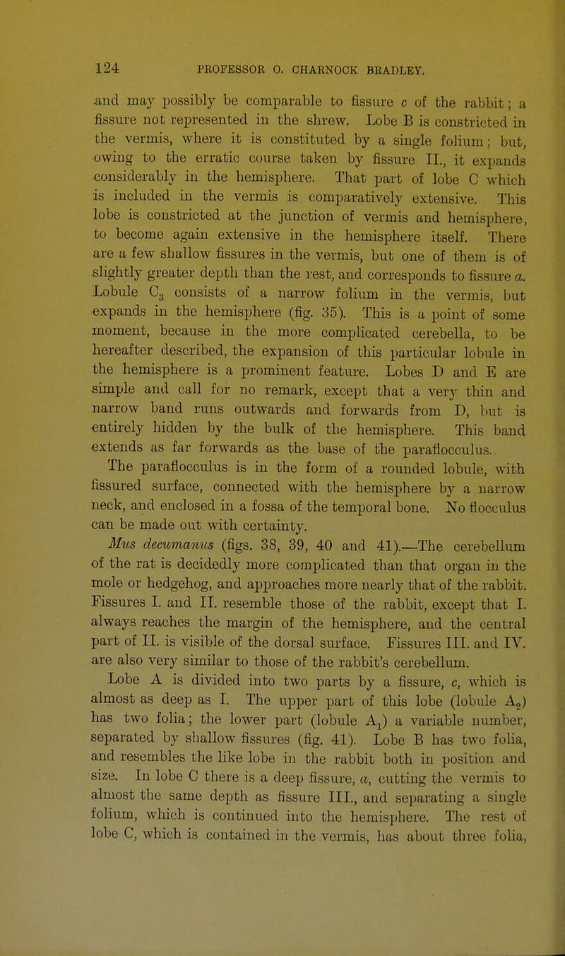 Liiid may possibly be comparable to fissure c of the rabbit; a fissure not represented in the shrew. Lobe B is constricted in the vermis, where it is constituted by a single folium; but, owing to the erratic course taken by fissure II., it expands •considerably in the hemisphere. That part of lobe C which is included in the vermis is comparatively extensive. This lobe is constricted at the junction of vermis and hemisphere, to become again extensive in the hemisphere itself. There are a few shallow fissures in the vermis, but one of them is of slightly greater depth than the rest, and corresponds to fissure a. Lobule C3 consists of a narrow folium in the vermis, but expands in the hemisphere (fig. 35). This is a point of some moment, because in the more complicated cerebella, to be hereafter described, the expansion of this particular lobule in the hemisphere is a prominent feature. Lobes D and E are simple and call for no remark, except that a very thin and narrow band runs outwards and forwards from D, but is entirely hidden by the bulk of the hemisphere. This band extends as far forwards as the base of the paraflocculus. The paraflocculus is in the form of a rounded lobule, with fissured surface, connected with the hemisphere by a narrow neck, and enclosed in a fossa of the temporal bone. No flocculus can be made out with certainty. Mus decumanus (figs. 38, 39, 40 and 41).—The cerebellum of the rat is decidedly more complicated than that organ in the mole or hedgehog, and approaches more nearly that of the rabbit. Fissures I. and II. resemble those of the rabbit, except that I. always reaches the margin of the hemisphere, and the central part of II. is visible of the dorsal surface. Fissures III. and IV. are also very similar to those of the rabbit's cerebellum. Lobe A is divided into two parts by a fissure, c, which is almost as deep as I. The upper part of this lobe (lobule A„) has two folia; the lower part (lobule Ax) a variable number, separated by shallow fissures (fig. 41). Lobe B has two folia, and resembles the like lobe in the rabbit both in position and size. In lobe C there is a deep fissure, a, cutting the vermis to almost the same depth as fissure III., and separating a single folium, which is continued into the hemisphere. The rest of lobe C, which is contained in the vermis, has about three folia,