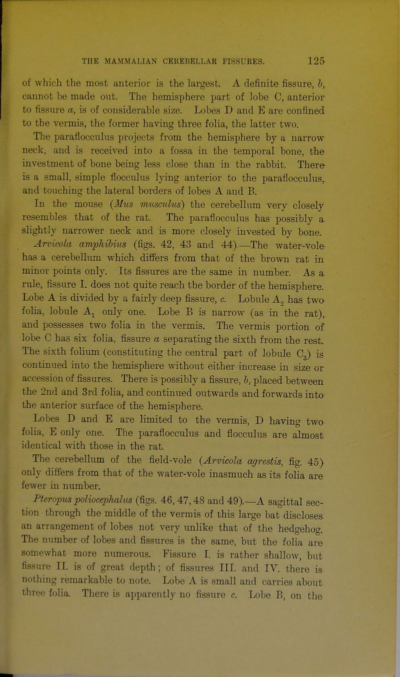 of which the most anterior is the largest. A definite fissure, Z>, cannot be made out. The hemisphere part of lobe C, anterior to tissme a, is of considerable size. Lobes D and E are confined to the vermis, the former having three folia, the latter two. The paraflocculus projects from the hemisphere by a narrow neck, and is received into a fossa in the temporal bone, the investment of bone being less close than in the rabbit. There is a small, simple flocculus lying anterior to the paraflocculus. and touching the lateral borders of lobes A and B. In the mouse (Mus musculus) the cerebellum very closely resembles that of the rat. The paraflocculus has possibly a slightly narrower neck and is more closely invested by bone. Arvicola amphibius (figs. 42, 43 and 44).—The water-vole has a cerebellum which differs from that of the brown rat in minor points only. Its fissures are the same in number. As a rule, fissure I. does not quite reach the border of the hemisphere. Lobe A is divided by a fairly deep fissure, c. Lobule A2 has two folia, lobule Ax only one. Lobe B is narrow (as in the rat), and possesses two folia in the vermis. The vermis portion of lobe C has six folia, fissure a separating the sixth from the rest. The sixth folium (constituting the central part of lobule C3) is continued into the hemisphere without either increase in size or accession of fissures. There is possibly a fissure, b, placed between the 2nd and 3rd folia, and continued outwards and forwards into the anterior surface of the hemisphere. Lobes D and E are limited to the vermis, D having two folia, E only one. The paraflocculus and flocculus are almost identical with those in the rat. The cerebellum of the field-vole (Arvicola agrestis, fig. 45\ only differs from that of the water-vole inasmuch as its folia are fewer in number. Pteropus poliocephalus (figs. 46,47,48 and 49).—A sagittal sec- tion through the middle of the vermis of this large bat discloses an arrangement of lobes not very unlike that of the hedgehog. The number of lobes and fissures is the same, but the folia are somewhat more numerous. Fissure I. is rather shallow, but fissure II. is of great depth ; of fissures III. and IV. there is nothing remarkable to note. Lobe A is small and carries about three folia. There is apparently no fissure c. Lobe B, on the