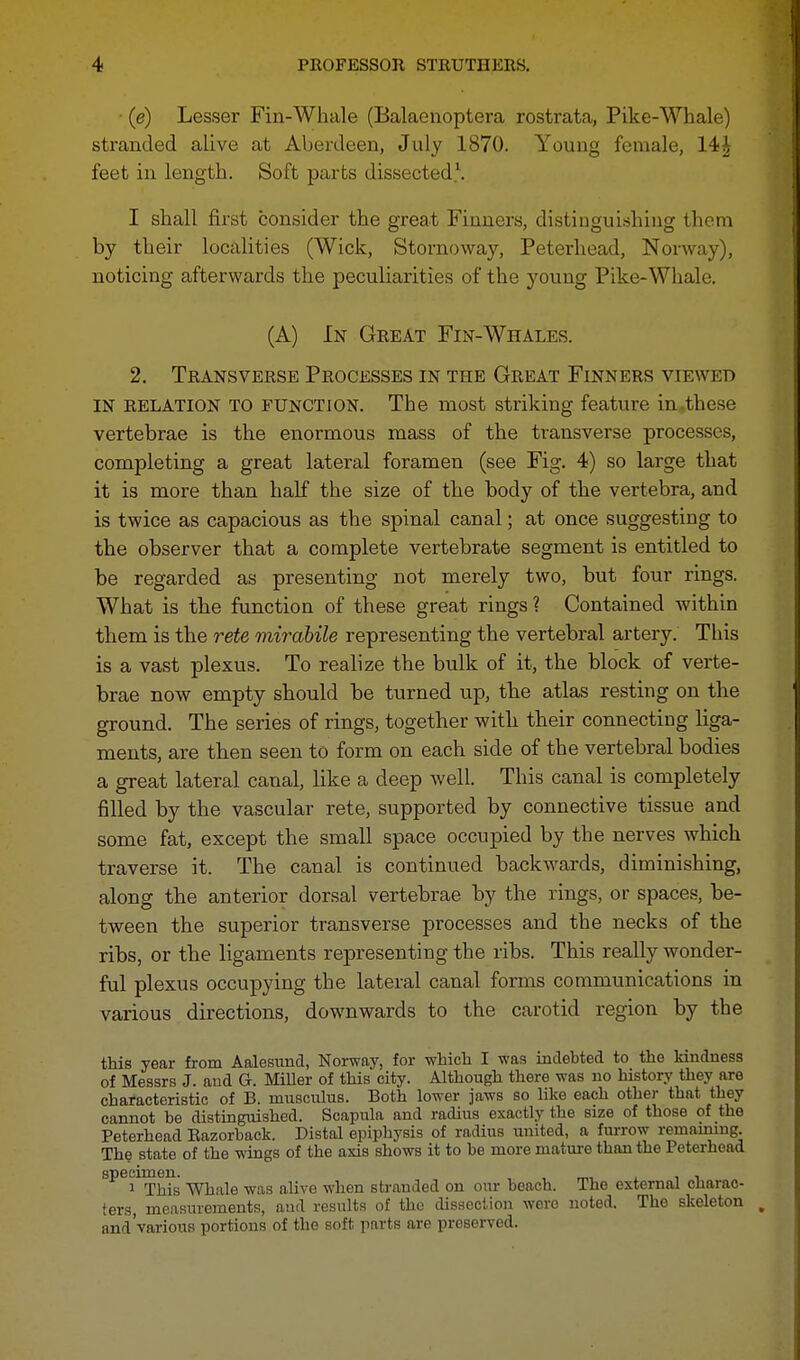 (e) Lesser Fin-Whale (Balaenoptera rostrata, Pike-Whale) stranded alive at Aberdeen, July 1870. Young female, 14i feet in length. Soft parts dissected1. I shall first consider the great Finners, distinguishing them by their localities (Wick, Stornoway, Peterhead, Norway), noticing afterwards the peculiarities of the young Pike-Whale. (A) In Great Fin-Whales. 2. Transverse Processes in the Great Finners viewed IN RELATION TO FUNCTION. The most striking feature in these vertebrae is the enormous mass of the transverse processes, completing a great lateral foramen (see Fig. 4) so large that it is more than half the size of the body of the vertebra, and is twice as capacious as the spinal canal; at once suggesting to the observer that a complete vertebrate segment is entitled to be regarded as presenting not merely two, but four rings. What is the function of these great rings ? Contained within them is the rete mirdbile representing the vertebral artery. This is a vast plexus. To realize the bulk of it, the block of verte- brae now empty should be turned up, the atlas resting on the ground. The series of rings, together with their connecting liga- ments, are then seen to form on each side of the vertebral bodies a great lateral canal, like a deep well. This canal is completely filled by the vascular rete, supported by connective tissue and some fat, except the small space occupied by the nerves which traverse it. The canal is continued backwards, diminishing, along the anterior dorsal vertebrae by the rings, or spaces, be- tween the superior transverse processes and the necks of the ribs, or the ligaments representing the ribs. This really wonder- ful plexus occupying the lateral canal forms communications in various directions, downwards to the carotid region by the this year from Aalesund, Norway, for which I was indebted to the kindness of Messrs J. and G. Miller of this city. Although there was no history they are characteristic of B. musculus. Both lower jaws so like each other that they cannot be distinguished. Scapula and radius exactly the size of those of the Peterhead Razorback. Distal epiphysis of radius united, a furrow remaining. The state of the wings of the axis shows it to be more mature than the Peterhead specimen. . 1 This Whale was alive when stranded on our beach. The external charac- ters, measurements, and results of the dissection were noted. The skeleton and'various portions of the soft parts are preserved.