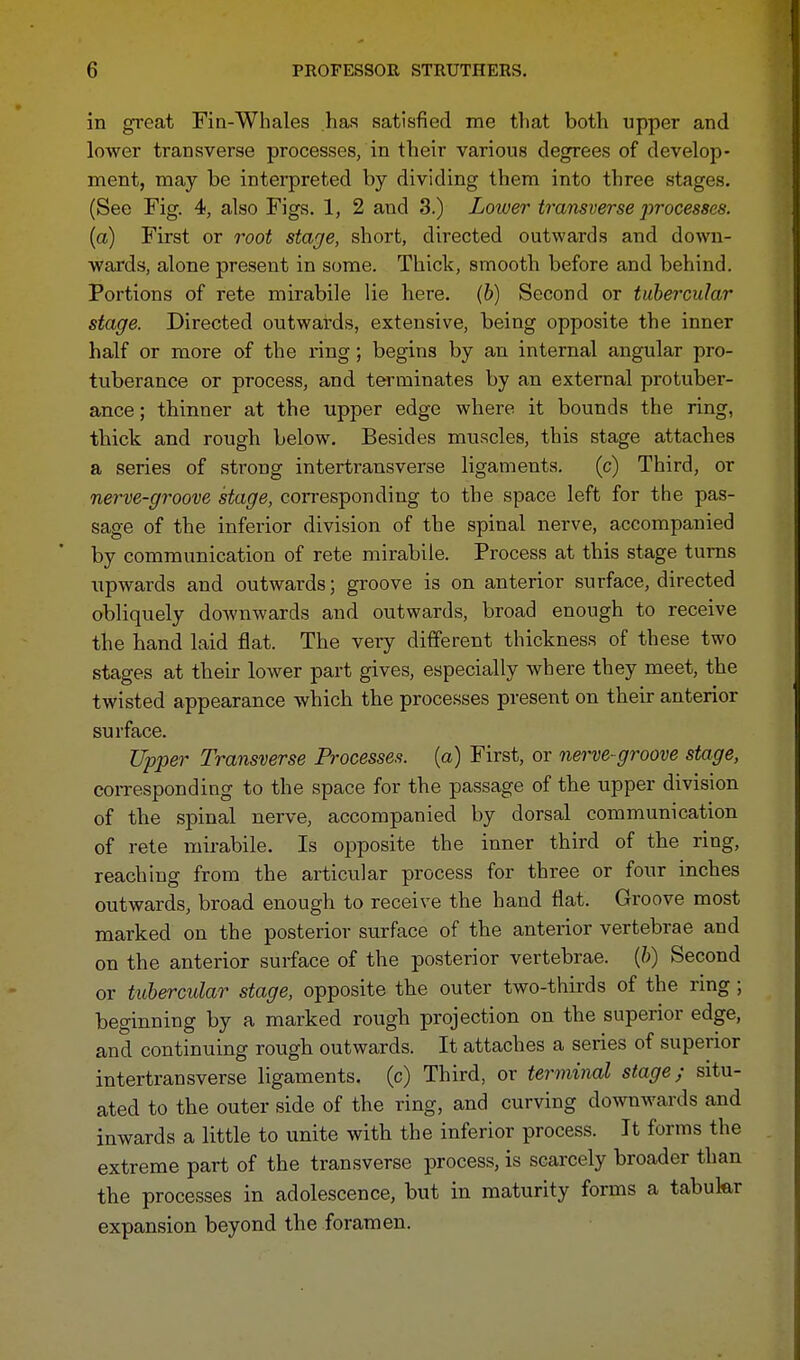 in great Fin-Whales has satisfied me that both upper and lower transverse processes, in their various degrees of develop- ment, may be interpreted by dividing them into three stages. (See Fig. 4, also Figs. 1, 2 and 3.) Lower transverse processes, (a) First or root stage, short, directed outwards and down- wards, alone present in some. Thick, smooth before and behind. Portions of rete mirabile lie here, (b) Second or tubercular stage. Directed outwards, extensive, being opposite the inner half or more of the ring; begins by an internal angular pro- tuberance or process, and terminates by an external protuber- ance ; thinner at the upper edge where it bounds the ring, thick and rough below. Besides muscles, this stage attaches a series of strong intertransverse ligaments. (c) Third, or nerve-groove stage, corresponding to the space left for the pas- sage of the inferior division of the spinal nerve, accompanied by communication of rete mirabile. Process at this stage turns upwards and outwards; groove is on anterior surface, directed obliquely downwards and outwards, broad enough to receive the hand laid flat. The very different thickness of these two stages at their lower part gives, especially where they meet, the twisted appearance which the processes present on their anterior surface. Upper Transverse Processes, (a) First, or nerve-groove stage, corresponding to the space for the passage of the upper division of the spinal nerve, accompanied by dorsal communication of rete mirabile. Is opposite the inner third of the ring, reaching from the articular process for three or four inches outwards, broad enough to receive the hand flat. Groove most marked on the posterior surface of the anterior vertebrae and on the anterior surface of the posterior vertebrae, (ft) Second or tubercular stage, opposite the outer two-thirds of the ring ; beginning by a marked rough projection on the superior edge, and continuing rough outwards. It attaches a series of superior intertransverse ligaments, (c) Third, or terminal stage; situ- ated to the outer side of the ring, and curving downwards and inwards a little to unite with the inferior process. It forms the extreme part of the transverse process, is scarcely broader than the processes in adolescence, but in maturity forms a tabukr expansion beyond the foramen.