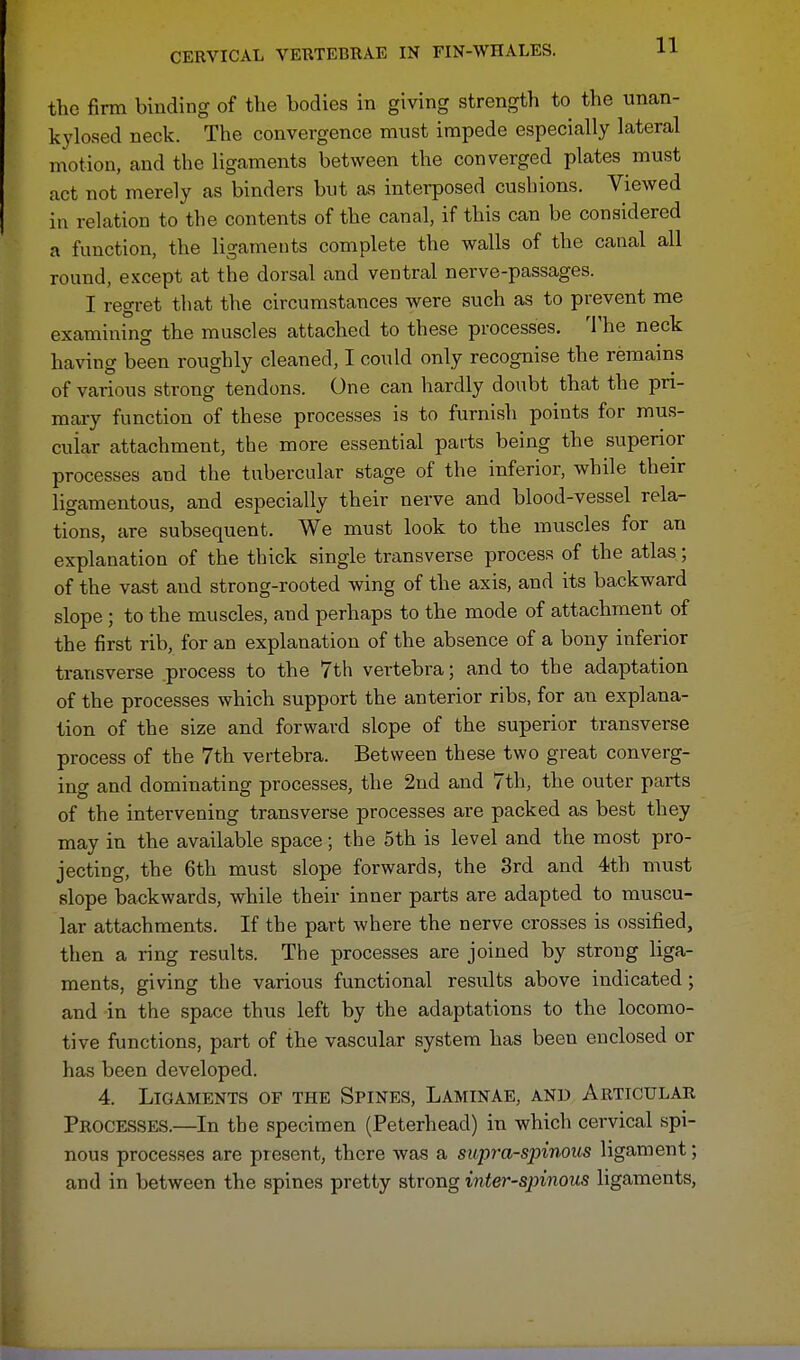 the firm binding of the bodies in giving strength to the unan- kylosed neck. The convergence must impede especially lateral motion, and the ligaments between the converged plates must act not merely as binders but as interposed cushions. Viewed in relation to the contents of the canal, if this can be considered a function, the ligaments complete the walls of the canal all round, except at the dorsal and ventral nerve-passages. I regret that the circumstances were such as to prevent me examining the muscles attached to these processes. The neck having been roughly cleaned, I could only recognise the remains of various strong tendons. One can hardly doubt that the pri- mary function of these processes is to furnish points for mus- cular attachment, the more essential parts being the superior processes and the tubercular stage of the inferior, while their ligamentous, and especially their nerve and blood-vessel rela- tions, are subsequent. We must look to the muscles for an explanation of the thick single transverse process of the atlas; of the vast and strong-rooted wing of the axis, and its backward slope; to the muscles, and perhaps to the mode of attachment of the first rib, for an explanation of the absence of a bony inferior transverse process to the 7th vertebra; and to the adaptation of the processes which support the anterior ribs, for an explana- tion of the size and forward slope of the superior transverse process of the 7th vertebra. Between these two great converg- ing and dominating processes, the 2nd and 7th, the outer parts of the intervening transverse processes are packed as best they may in the available space; the 5th is level and the most pro- jecting, the 6th must slope forwards, the 3rd and 4th must slope backwards, while their inner parts are adapted to muscu- lar attachments. If the part where the nerve crosses is ossified, then a ring results. The processes are joined by strong liga- ments, giving the various functional results above indicated; and in the space thus left by the adaptations to the locomo- tive functions, part of the vascular system has been enclosed or has been developed. 4. Ligaments of the Spines, Laminae, and Articular Processes.—In the specimen (Peterhead) in which cervical spi- nous processes are present, there was a supraspinous ligament; and in between the spines pretty strong inter-spinous ligaments,