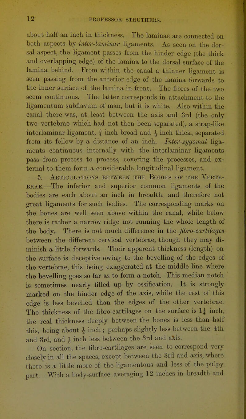 about half an inch in thickness. The laminae are connected on both aspects by inter-laminar ligaments. As seen on the dor- sal aspect, the ligament passes from the hinder edge (the thick and overlapping edge) of the lamina to the dorsal surface of the lamina behind. From within the canal a thinner ligament is seen passing from the anterior edge of the lamina forwards to the inner surface of the lamina in front. The fibres of the two seem continuous. The latter corresponds in attachment to the ligamentum subflavum of man, but it is white. Also within the canal there was, at least between the axis and 3rd (the only two vertebrae which had not then been separated), a strap-like interlaminar ligament, f inch broad and ^ inch thick, separated from its fellow by a distance of an inch. Inter-zygomal liga- ments continuous internally with the interlaminar ligaments pass from process to process, covering the processes, and ex- ternal to them form a considerable longitudinal ligament. 5. Articulations between the Bodies of the Verte- brae.—The inferior and superior common ligaments of the bodies are each about an inch in breadth, and therefore not great ligaments for such bodies. The corresponding marks on the bones are well seen above within the canal, while below there is rather a narrow ridge not running the whole length of the body. There is not much difference in the fibro-cartilages between the different cervical vertebrae, though they may di- minish a little forwards. Their apparent thickness (length) on the surface is deceptive owing to the bevelling of the edges of the vertebrae, this being exaggerated at the middle line where the bevelling goes so far as to form a notch. This median notch is sometimes nearly filled up by ossification. It is strongly marked on the hinder edge of the axis, while the rest of this edge is less bevelled than the edges of the other vertebrae. The thickness of the fibro-cartilages on the surface is 1£ inch, the real thickness deeply between the bones is less than half this, being about £ inch ; perhaps slightly less between the 4th and 3rd, and i inch less between the 3rd and afcis. On section, the fibro-cartilages are seen to correspond very closely in all the spaces, except between the 3rd and axis, where there is a little more of the ligamentous and less of the pulpy part. With a body-surface averaging 12 inches in breadth and