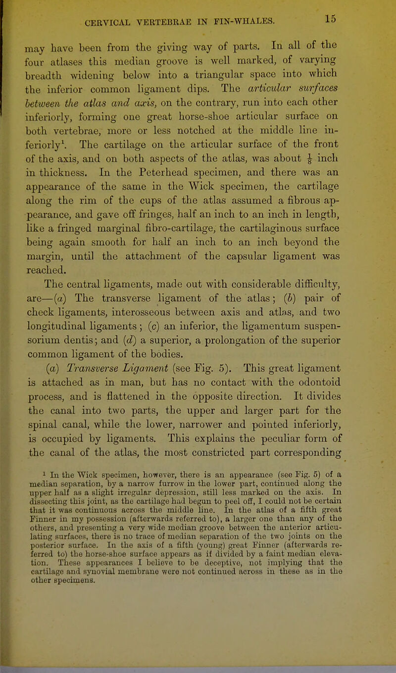 may have been from the giving way of parts. In all of the four atlases this median groove is well marked, of varying breadth widening below into a triangular space into which the inferior common ligament dips. The articular surfaces between the atlas and axis, on the contrary, run into each other inferiorly, forming one great horse-shoe articular surface on both vertebrae, more or less notched at the middle line in- feriorly1. The cartilage on the articular surface of the front of the axis, and on both aspects of the atlas, was about £ inch in thickness. In the Peterhead specimen, and there was an appearance of the same in the Wick specimen, the cartilage along the rim of the cups of the atlas assumed a fibrous ap- pearance, and gave off fringes, half an inch to an inch in length, like a fringed marginal fibro-cartilage, the cartilaginous surface being again smooth for half an inch to an inch beyond the margin, until the attachment of the capsular ligament was reached. The central ligaments, made out with considerable difficulty, are—(a) The transverse ligament of the atlas; (b) pair of check ligaments, interosseous between axis and atlas, and two longitudinal ligaments ; (c) an inferior, the ligamentum suspen- sorium dentis; and (d) a superior, a prolongation of the superior common ligament of the bodies. (a) Transverse Ligament (see Fig. 5). This great ligament is attached as in man, but has no contact with the odontoid process, and is flattened in the opposite direction. It divides the canal into two parts, the upper and larger part for the spinal canal, while the lower, narrower and pointed inferiorly, is occupied by ligaments. This explains the peculiar form of the canal of the atlas, the most constricted part corresponding 1 In the Wick specimen, however, there is an appearance (see Fig. 5) of a median separation, by a narrow furrow in the lower part, continued along the upper half as a slight irregular depression, still less marked on the axis. In dissecting this joint, as the cartilage had begun to peel off, I could not be certain that it was continuous across the middle line. In the atlas of a fifth great Finner in my possession (afterwards referred to), a larger one than any of the others, and presenting a very wide median groove between the anterior articu- lating surfaces, there is no trace of median separation of the two joints on the posterior surface. In the axis of a fifth (young) great Finner (afterwards re- ferred to) the horse-shoe surface appears as if divided by a faint median eleva- tion. These appearances I believe to be deceptive, not implying that the cartilage and synovial membrane were not continued across in these as in the other specimens.