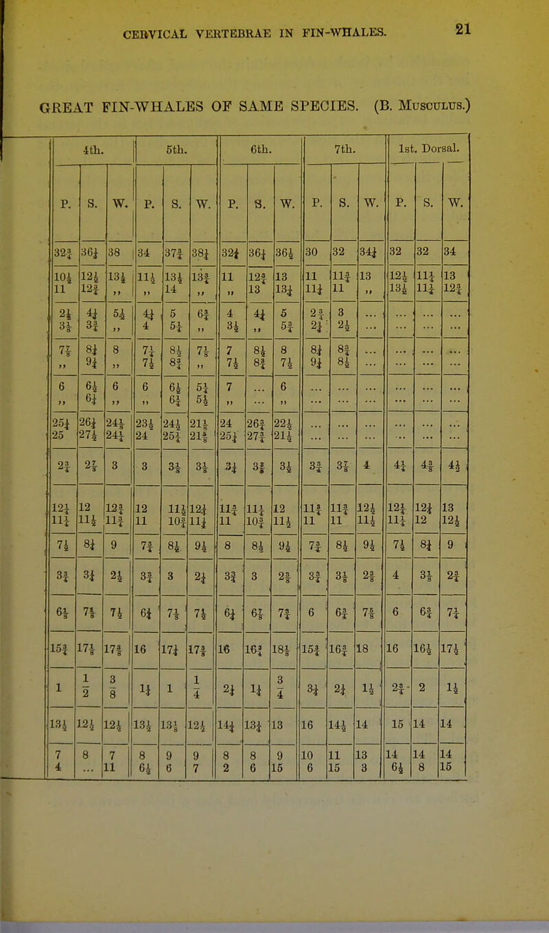 GREAT FIN-WHALES OF SAME SPECIES. (B. Musculus.) 4th. 5th. 6th. 7th. 1st. Dorsal. P. S. W. P. S. W. P. 8. W. P. S. W. P. S. W. 32-J 36} 38 34 37| 38} 324 36} 364 30 32 34} 32 32 34 104 11 124 12} 134 I » lli 134 14 13} if 11 II 12} 13 13 13} 11 11} 11} 11 13 124 134 Hi H} 13 12f 2i 3} 54 H 4 5 6} If 4 34 44 5 51 21 2}: 3 24 n 8} 8 74 84 8} 7i 7 74 84 8} 8 8} n 8} 84 ... 6 M 64 6} 6 6 J) 64 61 5i 54 7 M 6 25} 25 274 24| 24} 234 24 241 25} 2H 21f 24 25} 26} 27f 224 214 24 21 3 3 31 31 3 s 31 34 i 4} i IT 12} Hi 12 114 12} H* 12 11 114 104 124 Hi I 11 111 10} 12 114 HI 11 HI 11 124 114 12} Hi 12} 12 13 124 rr 1 74 Ql OJ 9 7£ 84- 94 8 8i 94 71 84 0 1 94 74 Ql 9 H 3| 24 3} 3 24 35 3 21 31 31 21 4 H 21 6| 71 6} ' 71 ' 74 6i 61 71 6 : 6} 71 6 61 71 15| 171 m 16 174 171 16 16| 181 15} 16} 18 16 164 174 ' 1 1 2 3 8 H 1 1 4 H H 3 4 H 2i 14 ' 2}- 2 14 13J 124 124 134 13| 124 1H 13} 13 16 144 14 ; 15 14 14 7 4 8 7 11 8 64 9 6 9 7 8 2 8 6 9 15 10 6 11 15 13 3 14 64 14 8 14 15 |