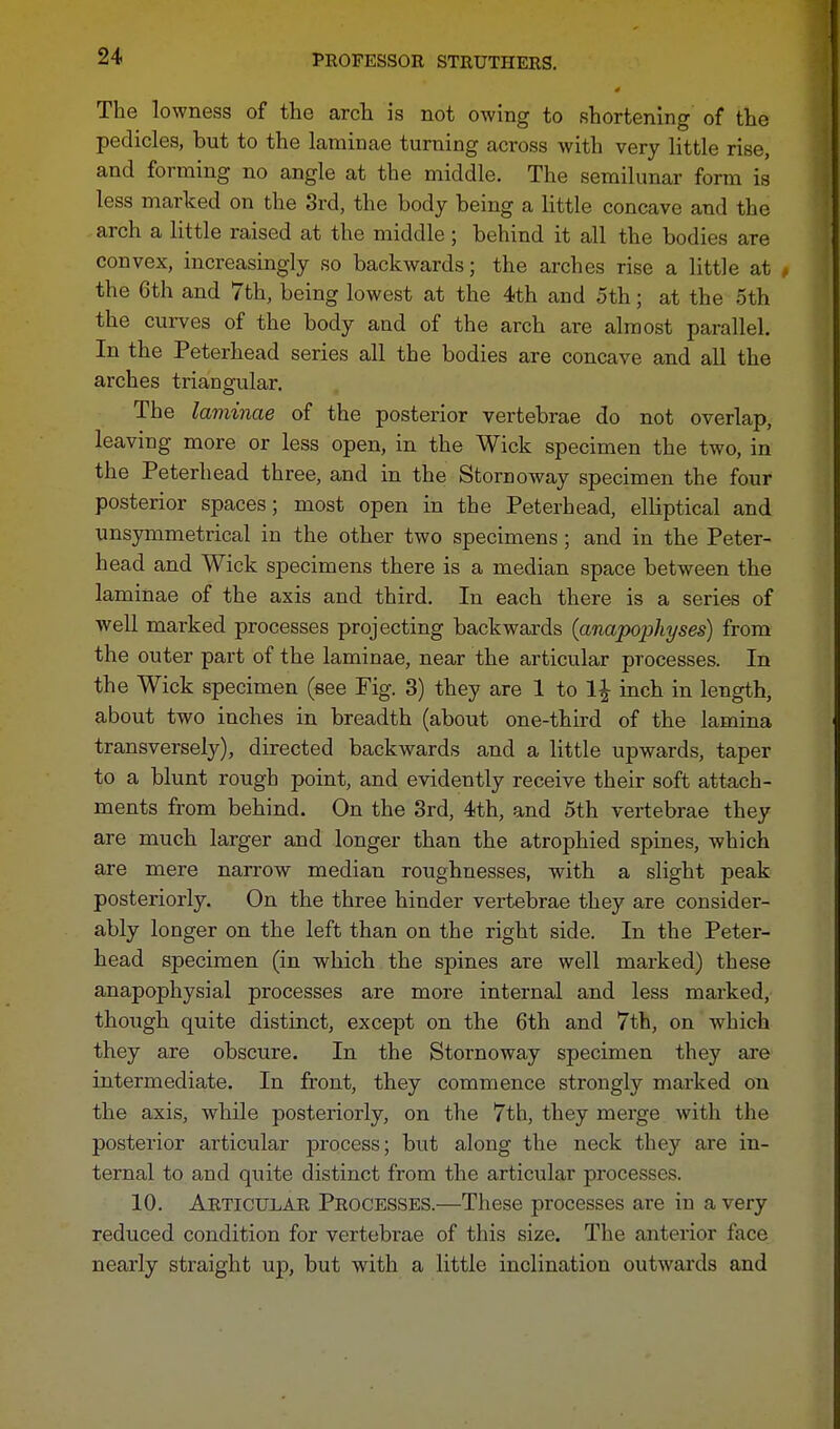 The lowness of the arch is not owing to shortening of the pedicles, but to the laminae turning across with very little rise, and forming no angle at the middle. The semilunar form is less marked on the 3rd, the body being a little concave and the arch a little raised at the middle; behind it all the bodies are convex, increasingly so backwards; the arches rise a little at , the 6th and 7th, being lowest at the 4th and 5th; at the 5th the curves of the body and of the arch are almost parallel. In the Peterhead series all the bodies are concave and all the arches triangular. The laminae of the posterior vertebrae do not overlap, leaving more or less open, in the Wick specimen the two, in the Peterhead three, and in the Stornoway specimen the four posterior spaces; most open in the Peterhead, elliptical and unsymmetrical in the other two specimens; and in the Peter- head and Wick specimens there is a median space between the laminae of the axis and third. In each there is a series of well marked processes projecting backwards (anapophyses) from the outer part of the laminae, near the articular processes. In the Wick specimen (see Fig. 3) they are 1 to l£ inch in length, about two inches in breadth (about one-third of the lamina transversely), directed backwards and a little upwards, taper to a blunt rough point, and evidently receive their soft attach- ments from behind. On the 3rd, 4th, and 5th vertebrae they are much larger and longer than the atrophied spines, which are mere narrow median roughnesses, with a slight peak posteriorly. On the three hinder vertebrae they are consider- ably longer on the left than on the right side. In the Peter- head specimen (in which the spines are well marked) these anapophysial processes are more internal and less marked, though quite distinct, except on the 6th and 7th, on which they are obscure. In the Stornoway specimen they are intermediate. In front, they commence strongly marked on the axis, while posteriorly, on the 7th, they merge with the posterior articular process; but along the neck they are in- ternal to and quite distinct from the articular processes. 10. Articular Processes.—These processes are in a very reduced condition for vertebrae of this size. The anterior face nearly straight up, but with a little inclination outwards and