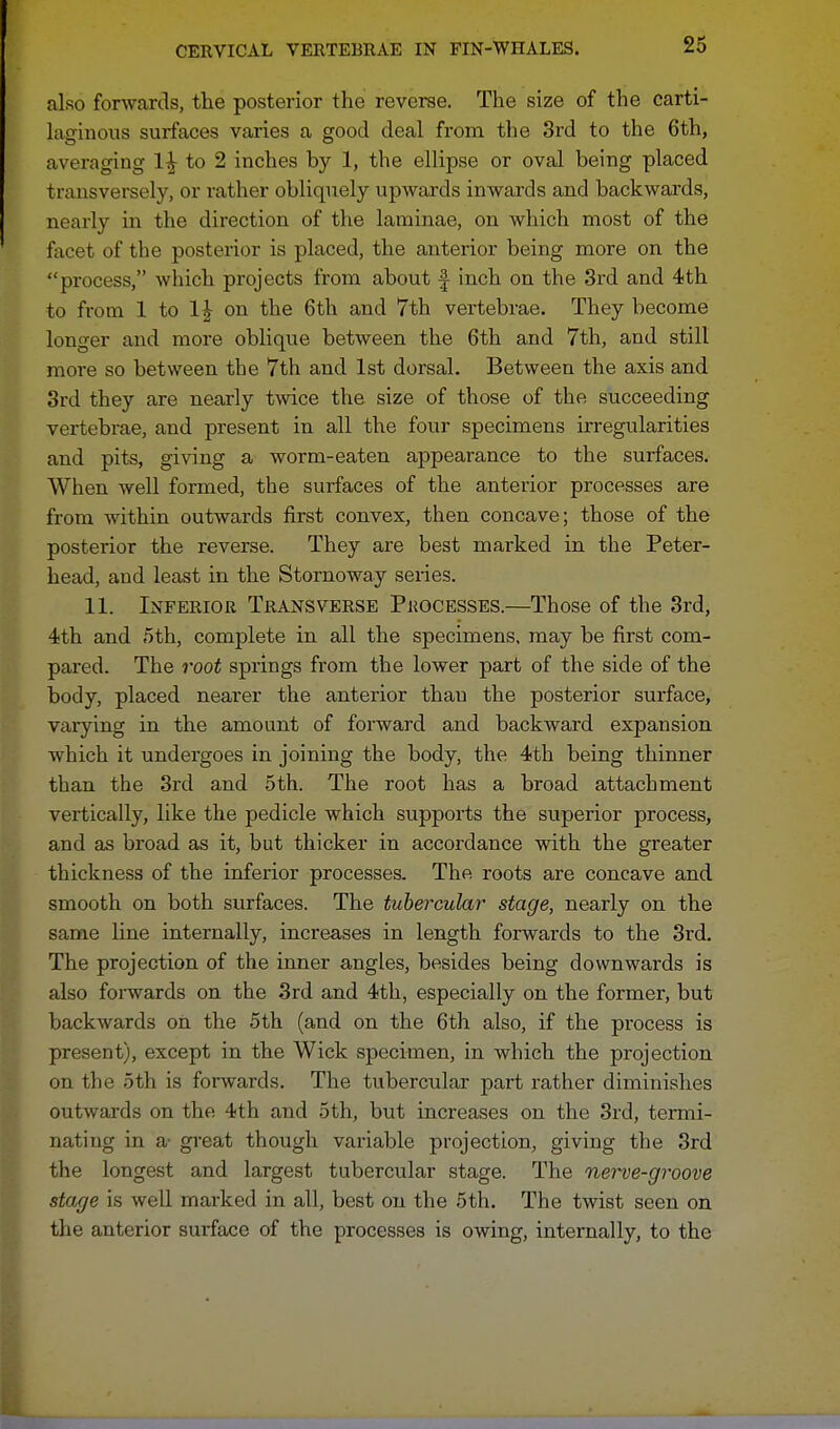also forwards, the posterior the reverse. The size of the carti- laginous surfaces varies a good deal from the 3rd to the 6th, averaging 1^ to 2 inches hy 1, the ellipse or oval being placed transversely, or rather obliquely upwards inwards and backwards, nearly in the direction of the laminae, on which most of the facet of the posterior is placed, the anterior being more on the process, which projects from about f inch on the 3rd and 4th to from 1 to 1£ on the 6th and 7th vertebrae. They become longer and more oblique between the 6th and 7th, and still more so between the 7th and 1st dorsal. Between the axis and 3rd they are nearly twice the size of those of the succeeding vertebrae, and present in all the four specimens irregularities and pits, giving a worm-eaten appearance to the surfaces. When well formed, the surfaces of the anterior processes are from within outwards first convex, then concave; those of the posterior the reverse. They are best marked in the Peter- head, and least in the Stornoway series. 11. Inferior Transverse Processes.—Those of the 3rd, 4th and .5th, complete in all the specimens, may be first com- pared. The root springs from the lower part of the side of the body, placed nearer the anterior than the posterior surface, varying in the amount of forward and backward expansion which it undergoes in joining the body, the 4th being thinner than the 3rd and 5th. The root has a broad attachment vertically, like the pedicle which supports the superior process, and as broad as it, but thicker in accordance with the greater thickness of the inferior processes. The roots are concave and smooth on both surfaces. The tubercular stage, nearly on the same line internally, increases in length forwards to the 3rd. The projection of the inner angles, besides being downwards is also forwards on the 3rd and 4th, especially on the former, but backwards on the 5th (and on the 6th also, if the process is present), except in the Wick specimen, in which the projection on the 5th is forwards. The tubercular part rather diminishes outwards on the 4th and 5th, but increases on the 3rd, termi- nating in a- great though variable projection, giving the 3rd the longest and largest tubercular stage. The nerve-groove stage is well marked in all, best on the 5th. The twist seen on the anterior surface of the processes is owing, internally, to the