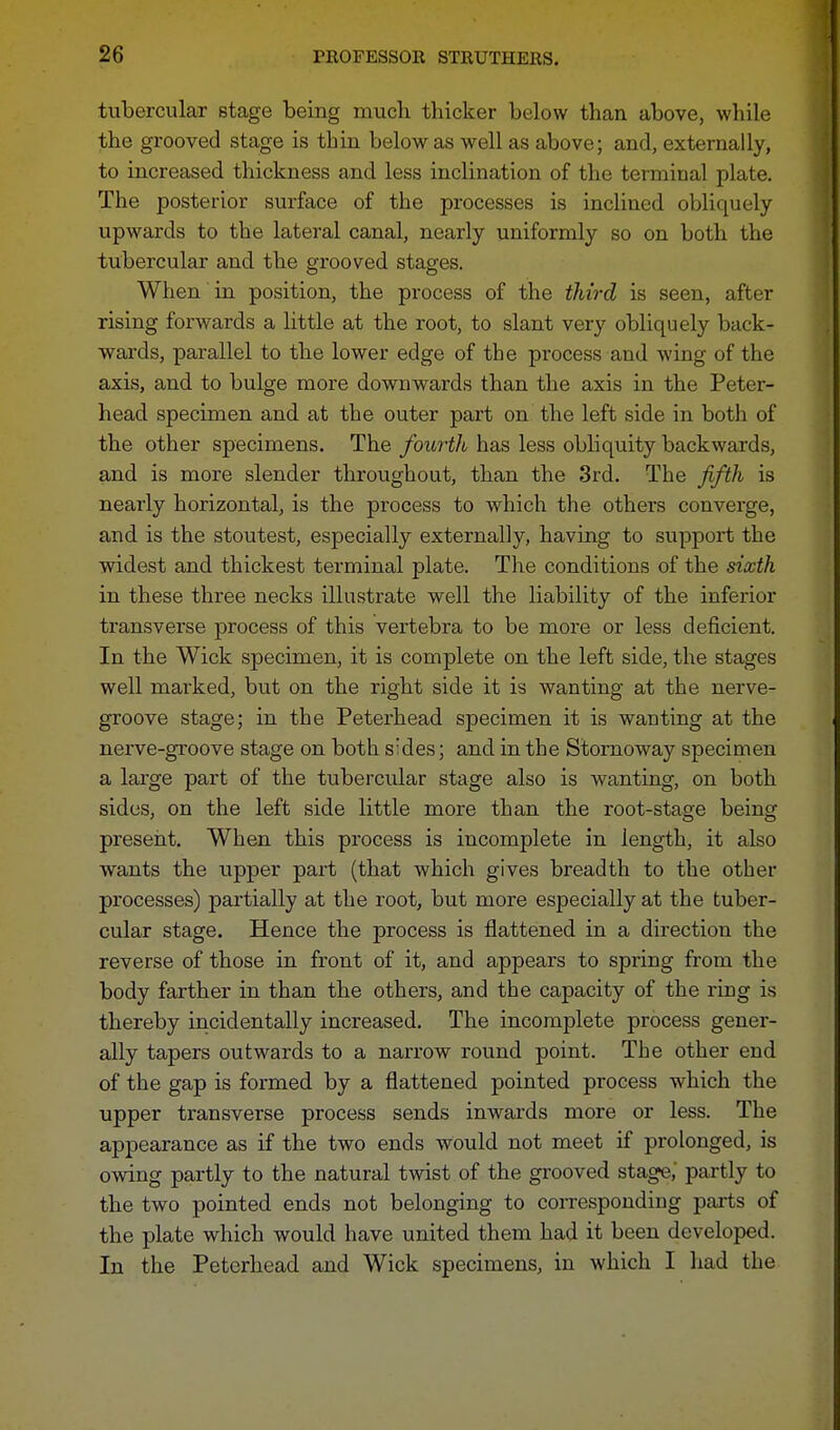 tubercular stage being much thicker below than above, while the grooved stage is thin below as well as above; and, externally, to increased thickness and less inclination of the terminal plate. The posterior surface of the processes is inclined obliquely upwards to the lateral canal, nearly uniformly so on both the tubercular and the grooved stages. When in position, the process of the third is seen, after rising forwards a little at the root, to slant very obliquely back- wards, parallel to the lower edge of the process and wing of the axis, and to bulge more downwards than the axis in the Peter- head specimen and at the outer part on the left side in both of the other specimens. The fourth has less obliquity backwards, and is more slender throughout, than the 3rd. The fifth is nearly horizontal, is the process to which the others converge, and is the stoutest, especially externally, having to support the widest and thickest terminal plate. The conditions of the sixth in these three necks illustrate well the liability of the inferior transverse process of this vertebra to be more or less deficient. In the Wick specimen, it is complete on the left side, the stages well marked, but on the right side it is wanting at the nerve- groove stage; in the Peterhead specimen it is wanting at the nerve-groove stage on both sides; and in the Stornoway specimen a large part of the tubercular stage also is wanting, on both sides, on the left side little more than the root-stage being present. When this process is incomplete in length, it also wants the upper part (that which gives breadth to the other processes) partially at the root, but more especially at the tuber- cular stage. Hence the process is flattened in a direction the reverse of those in front of it, and appears to spring from the body farther in than the others, and the capacity of the ring is thereby incidentally increased. The incomplete process gener- ally tapers outwards to a narrow round point. The other end of the gap is formed by a flattened pointed process which the upper transverse process sends inwards more or less. The appearance as if the two ends would not meet if prolonged, is owing partly to the natural twist of the grooved stage,' partly to the two pointed ends not belonging to corresponding parts of the plate which would have united them had it been developed. In the Peterhead and Wick specimens, in which I had the