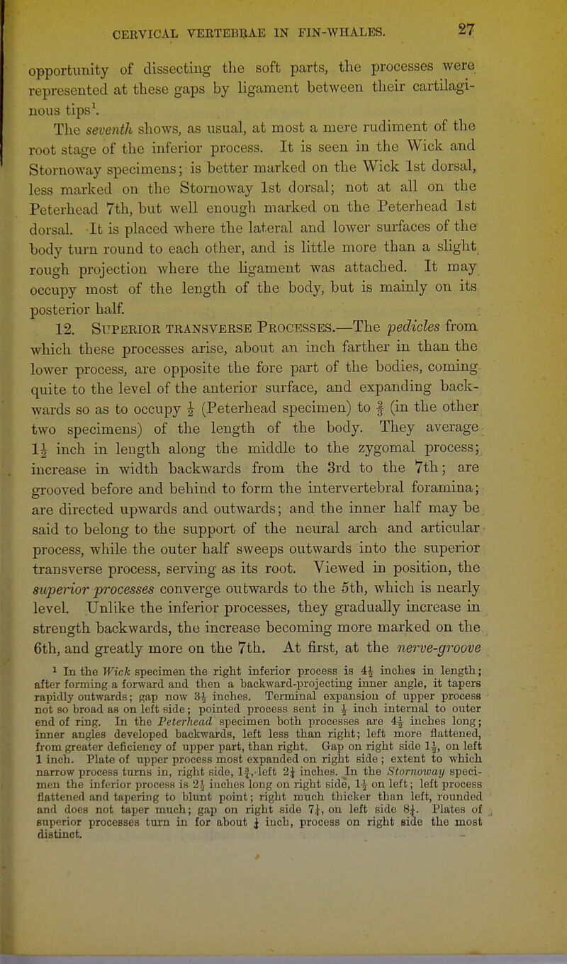 opportunity of dissecting the soft parts, the processes were represented at these gaps by ligament between their cartilagi- nous tips1. The seventh shows, as usual, at most a mere rudiment of the root stage of the inferior process. It is seen in the Wick and Stornoway specimens; is better marked on the Wick 1st dorsal, less marked on the Stornoway 1st dorsal; not at all on the Peterhead 7th, but well enough marked on the Peterhead 1st dorsal. It is placed where the lateral and lower surfaces of the body turn round to each other, and is little more than a slight rough projection where the ligament was attached. It may occupy most of the length of the body, but is mainly on its posterior half. 12. Superior transverse Processes.—The pedicles from which these processes arise, about an inch farther in than the lower process, are opposite the fore part of the bodies, coming quite to the level of the anterior surface, and expanding back- wards so as to occupy J (Peterhead specimen) to § (in the other two specimens) of the length of the body. They average inch in length along the middle to the zygomal process; increase in width backwards from the 3rd to the 7th; are grooved before and behind to form the intervertebral foramina; are directed upwards and outwards; and the inner half may be said to belong to the support of the neural arch and articular process, while the outer half sweeps outwards into the superior transverse process, serving as its root. Viewed in position, the superior processes converge outwards to the 5th, which is nearly level. Unlike the inferior processes, they gradually increase in strength backwards, the increase becoming more marked on the 6th, and greatly more on the 7th. At first, at the nerve-groove 1 In the Wick specimen the right inferior process is 4^ inches in length; after forming a forward and then a backward-projecting inner angle, it tapers rapidly outwards; gap now 3^ inches. Terminal expansion of upper process not so broad as on left side; pointed process sent in £ inch internal to outer end of ring. In the Peterhead specimen both processes are 4-^ inches long; inner angles developed backwards, left less than right; left more flattened, from greater deficiency of upper part, than right. Gap on right side 1£, on left 1 inch. Plate of upper process most expanded on right side ; extent to which narrow process turns in, right side, If,-left 2.} inches. In the Stornoway speci- men the inferior process is 2\ inches long on right side, 1-^ on left; left process flattened and tapering to blunt point; right much thicker than left, rounded and does not taper much; gap on right side 7,}, on left side 81. Plates of superior processes turn in for about i iuch, process on right side the most distinct. -