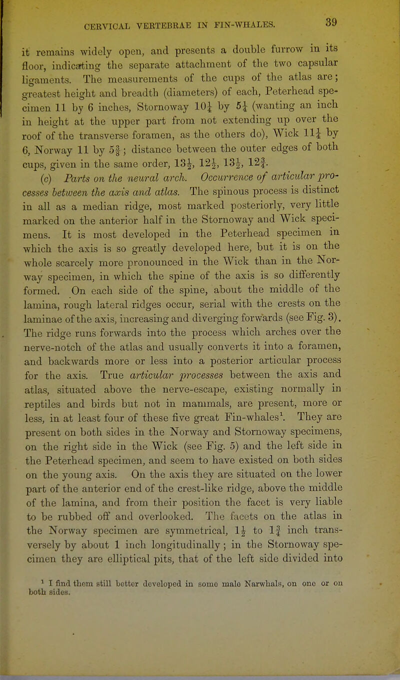 it remains widely open, and presents a double furrow in its floor, indicating the separate attachment of the two capsular ligaments. The measurements of the cups of the atlas are; greatest height and breadth (diameters) of each, Peterhead spe- cimen 11 by 6 inches, Stornoway 10J by 5 J (wanting an inch in height at the upper part from not extending up over the roof of the transverse foramen, as the others do), Wick 11| by 6, Norway 11 by 5§; distance between the outer edges of both cups, given in the same order, 13J, 12£, 13£, 12f. (c) Parts on the neural arch. Occurrence of articular pro- cesses between the axis and atlas. The spinous process is distinct in all as a median ridge, most marked posteriorly, very little marked on the anterior half in the Stornoway and Wick speci- mens. It is most developed in the Peterhead specimen in which the axis is so greatly developed here, but it is on the whole scarcely more pronounced in the Wick than in the Nor- way specimen, in which the spine of the axis is so differently formed. On each side of the spine, about the middle of the lamina, rough lateral ridges occur, serial with the crests on the laminae of the axis, increasing and diverging forwards (see Fig. 3). The ridge runs forwards into the process which arches over the nerve-notch of the atlas and usually converts it into a foramen, and backwards more or less into a posterior articular process for the axis. True articular processes between the axis and atlas, situated above the nerve-escape, existing normally in reptiles and birds but not in mammals, are present, more or less, in at least four of these five great Fin-whales1. They are present on both sides in the Norway and Stornoway specimens, on the right side in the Wick (see Fig. 5) and the left side in the Peterhead specimen, and seem to have existed on both sides on the young axis. On the axis they are situated on the lower part of the anterior end of the crest-like ridge, above the middle of the lamina, and from their position the facet is very liable to be rubbed off and overlooked. The facets on the atlas in the Norway specimen are symmetrical, 1J to If inch trans- versely by about 1 inch longitudinally; in the Stornoway spe- cimen they are elliptical pits, that of the left side divided into 1 I find them still better developed in somo male Narwhals, on one or on both sides.