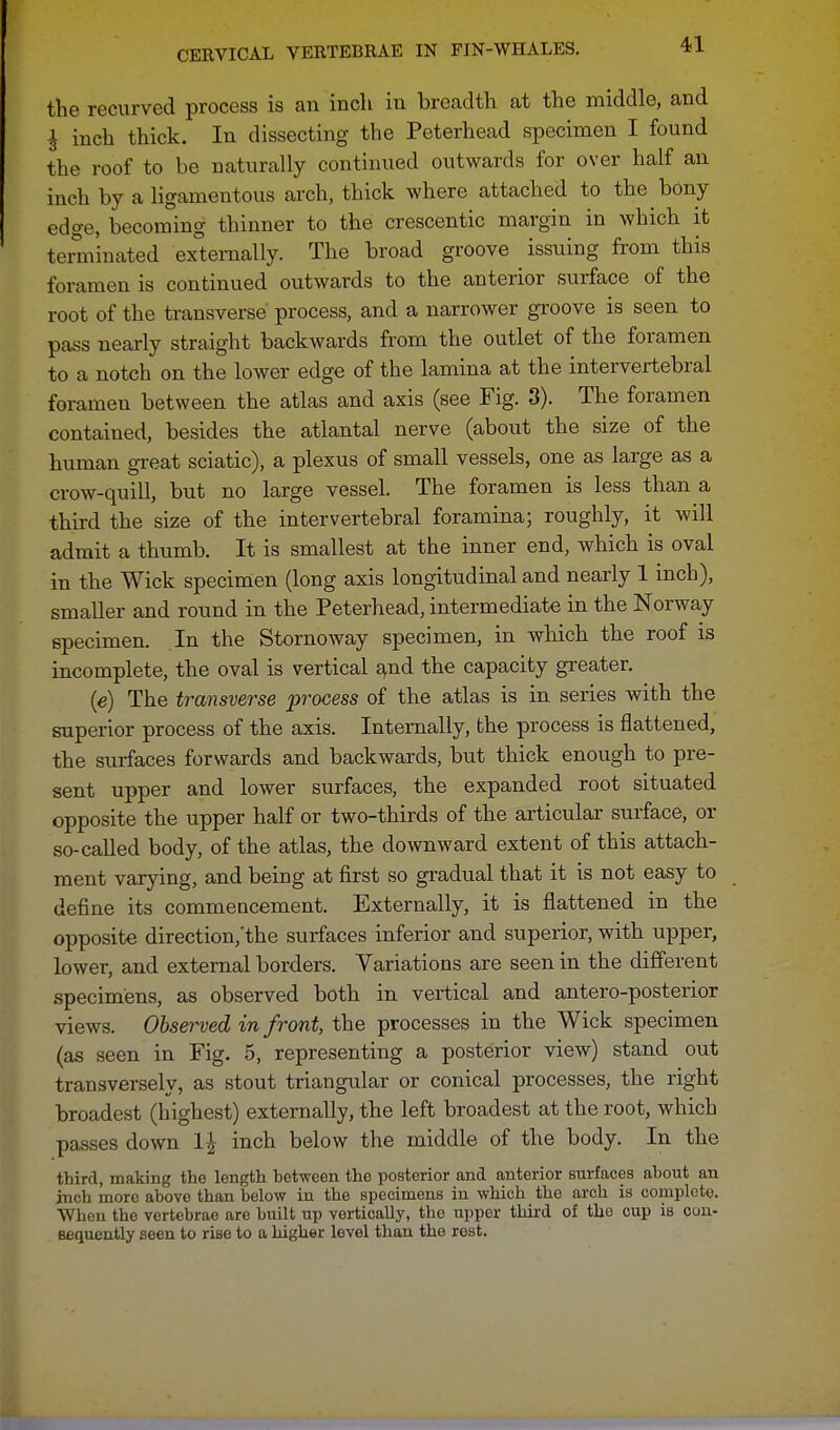 the recurved process is an inch in breadth at the middle, and I inch thick. In dissecting the Peterhead specimen I found the roof to be naturally continued outwards for over half an inch by a ligamentous arch, thick where attached to the bony edge, becoming thinner to the crescentic margin in which it terminated externally. The broad groove issuing from this foramen is continued outwards to the anterior surface of the root of the transverse' process, and a narrower groove is seen to pass nearly straight backwards from the outlet of the foramen to a notch on the lower edge of the lamina at the intervertebral foramen between the atlas and axis (see Fig. 3). The foramen contained, besides the atlantal nerve (about the size of the human great sciatic), a plexus of small vessels, one as large as a crow-quill, but no large vessel. The foramen is less than a third the size of the intervertebral foramina; roughly, it will admit a thumb. It is smallest at the inner end, which is oval in the Wick specimen (long axis longitudinal and nearly 1 inch), smaller and round in the Peterhead, intermediate in the Norway specimen. In the Stornoway specimen, in which the roof is incomplete, the oval is vertical and the capacity greater. (e) The transverse process of the atlas is in series with the superior process of the axis. Internally, the process is flattened, the surfaces forwards and backwards, but thick enough to pre- sent upper and lower surfaces, the expanded root situated opposite the upper half or two-thirds of the articular surface, or so-called body, of the atlas, the downward extent of this attach- ment varying, and being at first so gradual that it is not easy to define its commencement. Externally, it is flattened in the opposite direction/the surfaces inferior and superior, with upper, lower, and external borders. Variations are seen in the different specimens, as observed both in vertical and antero-posterior views. Observed in front, the processes in the Wick specimen (as seen in Fig. 5, representing a posterior view) stand out transversely, as stout triangular or conical processes, the right broadest (highest) externally, the left broadest at the root, which passes down 1£ inch below the middle of the body. In the third, making the length between the posterior and anterior surfaces about an inch more above than below in the specimens in which the arch is complete. When the vertebrae are built up vertically, the upper third of tho cup is con- sequently seen to rise to a higher level than the rest.