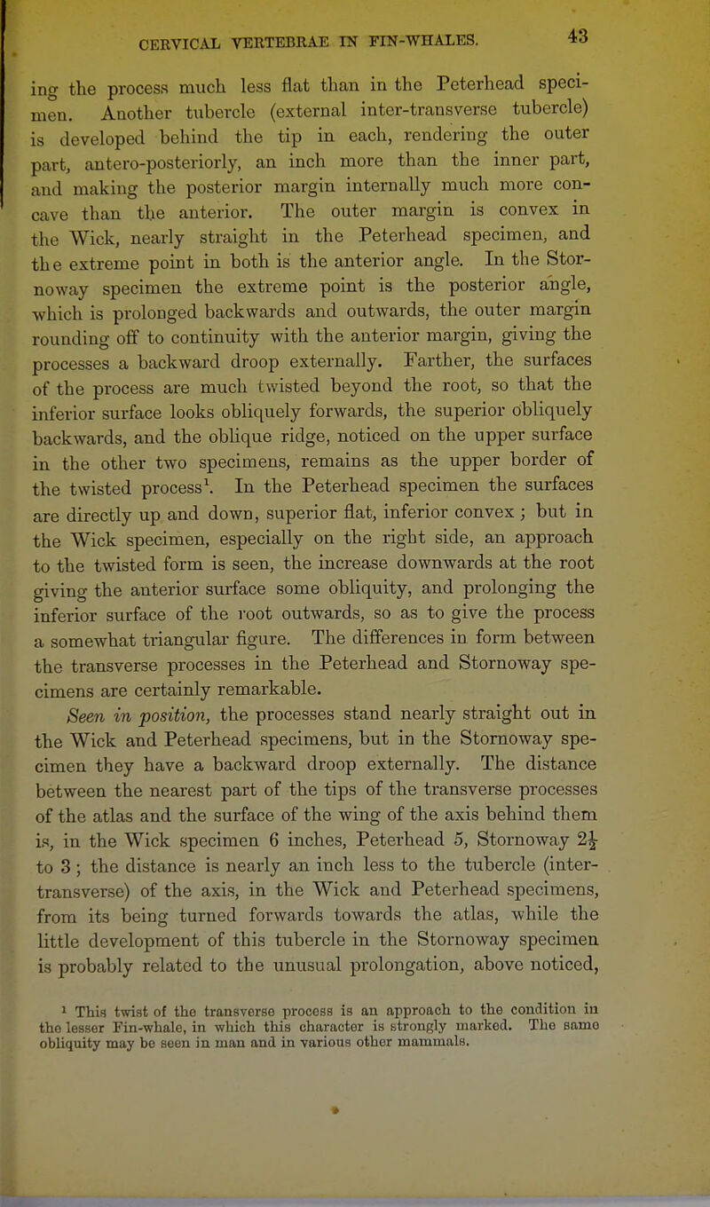 ing the process much less flat than in the Peterhead speci- men. Another tubercle (external inter-transverse tubercle) is developed behind the tip in each, rendering the outer part, antero-posteriorly, an inch more than the inner part, and making the posterior margin interDally much more con- cave than the anterior. The outer margin is convex in the Wick, nearly straight in the Peterhead specimen, and the extreme point in both is the anterior angle. In the Stor- noway specimen the extreme point is the posterior angle, which is prolonged backwards and outwards, the outer margin rounding off to continuity with the anterior margin, giving the processes a backward droop externally. Farther, the surfaces of the process are much twisted beyond the root, so that the inferior surface looks obliquely forwards, the superior Obliquely backwards, and the oblique ridge, noticed on the upper surface in the other two specimens, remains as the upper border of the twisted process1. In the Peterhead specimen the surfaces are directly up and down, superior flat, inferior convex ; but in the Wick specimen, especially on the rigbt side, an approach to the twisted form is seen, the increase downwards at the root giving the anterior surface some obliquity, and prolonging the inferior surface of the root outwards, so as to give the process a somewhat triangular figure. The differences in. form between the transverse processes in the Peterhead and Stornoway spe- cimens are certainly remarkable. Seen in position, the processes stand nearly straight out in the Wick and Peterhead specimens, but in the Stornoway spe- cimen they have a backward droop externally. The distance between the nearest part of the tips of the transverse processes of the atlas and the surface of the wing of the axis behind them is, in the Wick specimen 6 inches, Peterhead 5, Stornoway 2£ to 3; the distance is nearly an inch less to the tubercle (inter- transverse) of the axis, in the Wick and Peterhead specimens, from its being turned forwards towards the atlas, while the little development of this tubercle in the Stornoway specimen is probably related to the unusual prolongation, above noticed, 1 This twist of the transverse process is an approach to the condition iu the lesser Fin-whale, in which this character is strongly marked. The samo obliquity may be seen in man and in various other mammals. *