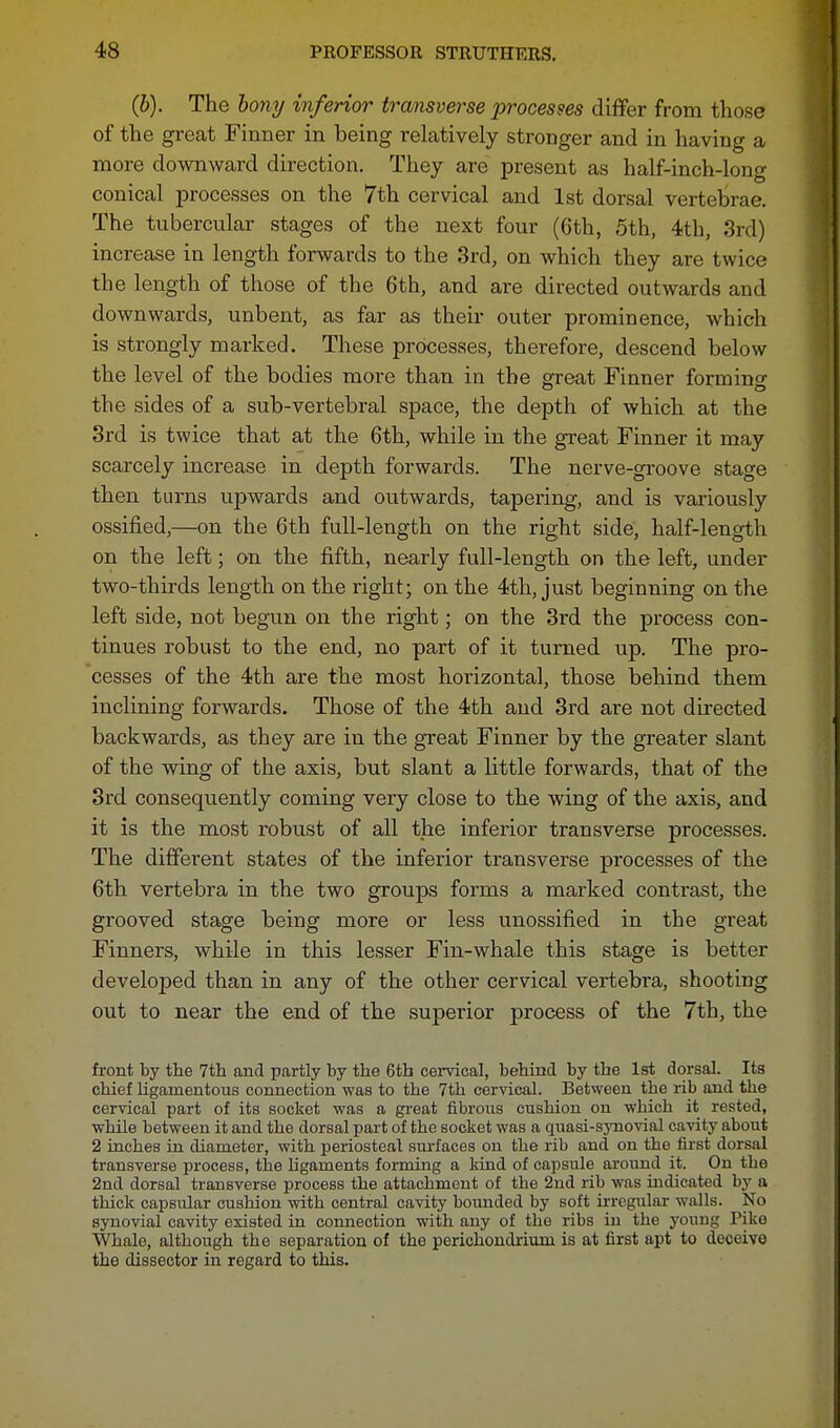 (&). The bony inferior transverse processes differ from those of the great Finner in being relatively stronger and in having a more downward direction. They are present as half-inch-long conical processes on the 7th cervical and 1st dorsal vertebrae. The tubercular stages of the next four (6th, 5th, 4th, 3rd) increase in length forwards to the 3rd, on which they are twice the length of those of the 6th, and are directed outwards and downwards, unbent, as far as their outer prominence, which is strongly marked. These processes, therefore, descend below the level of the bodies more than in the great Finner forming the sides of a sub-vertebral space, the depth of which at the 3rd is twice that at the 6th, while in the great Finner it may scarcely increase in depth forwards. The nerve-groove stage then turns upwards and outwards, tapering, and is variously ossified,—on the 6th full-length on the right side, half-length on the left; on the fifth, nearly full-length on the left, under two-thirds length on the right; on the 4th, just beginning on the left side, not begun on the right; on the 3rd the process con- tinues robust to the end, no part of it turned up. The pro- cesses of the 4th are the most horizontal, those behind them inclining forwards. Those of the 4th and 3rd are not directed backwards, as they are in the great Finner by the greater slant of the wing of the axis, but slant a little forwards, that of the 3rd consequently coming very close to the wing of the axis, and it is the most robust of all the inferior transverse processes. The different states of the inferior transverse processes of the 6th vertebra in the two groups forms a marked contrast, the grooved stage being more or less unossified in the great Finners, while in this lesser Fin-whale this stage is better developed than in any of the other cervical vertebra, shooting out to near the end of the superior process of the 7th, the front by the 7th and partly by the 6th cervical, behind by the 1st dorsal. Its chief ligamentous connection was to the 7th cervical. Between the rib and the cervical part of its socket was a great fibrous cushion on wbich it rested, while between it and the dorsal part of the socket was a quasi-synovial cavity about 2 inches in diameter, with periosteal surfaces on the rib and on the first dorsal transverse process, the ligaments forming a kind of capsule around it. On the 2nd dorsal transverse process the attachment of the 2nd rib was indicated by a thick capsular cushion with central cavity bounded by soft irregular walls. No synovial cavity existed in connection with any of the ribs in the young Pike Whale, although the separation of the perichondriurn is at first apt to deceive the dissector in regard to this.