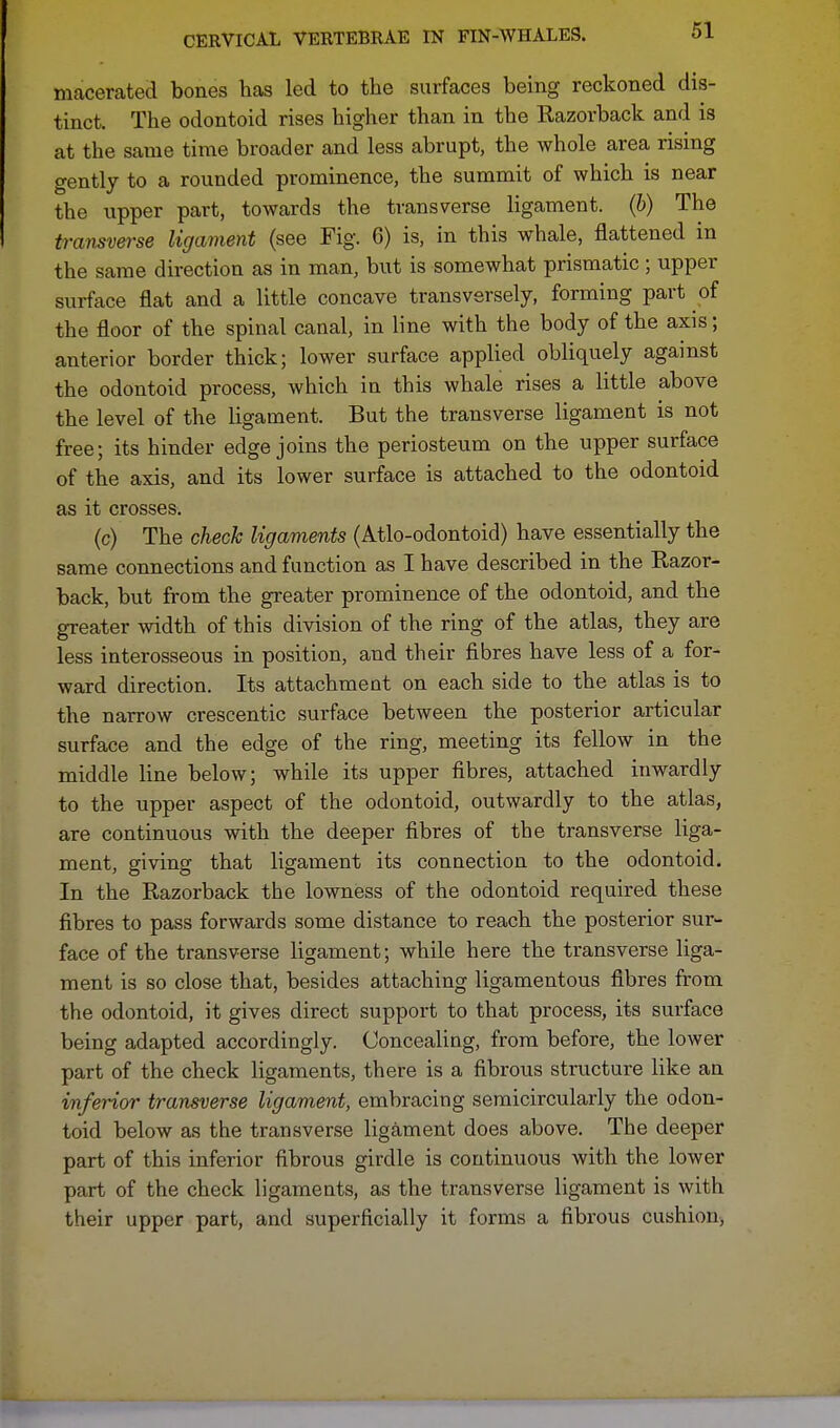 macerated bones has led to the surfaces being reckoned dis- tinct. The odontoid rises higher than in the Eazorback and is at the same time broader and less abrupt, the whole area rising gently to a rounded prominence, the summit of which is near the upper part, towards the transverse ligament, (b) The transverse ligament (see Fig. 6) is, in this whale, flattened in the same direction as in man, but is somewhat prismatic ; upper surface flat and a little concave transversely, forming part of the floor of the spinal canal, in line with the body of the axis; anterior border thick; lower surface applied obliquely against the odontoid process, which in this whale rises a little above the level of the ligament. But the transverse ligament is not free; its hinder edge joins the periosteum on the upper surface of the axis, and its lower surface is attached to the odontoid as it crosses. (c) The check ligaments (Atlo-odontoid) have essentially the same connections and function as I have described in the Eazor- back, but from the greater prominence of the odontoid, and the greater width of this division of the ring of the atlas, they are less interosseous in position, and their fibres have less of a for- ward direction. Its attachment on each side to the atlas is to the narrow crescentic surface between the posterior articular surface and the edge of the ring, meeting its fellow in the middle line below; while its upper fibres, attached inwardly to the upper aspect of the odontoid, outwardly to the atlas, are continuous with the deeper fibres of the transverse liga- ment, giving that ligament its connection to the odontoid. In the Kazorback the lowness of the odontoid required these fibres to pass forwards some distance to reach the posterior sur- face of the transverse ligament; while here the transverse liga- ment is so close that, besides attaching ligamentous fibres from the odontoid, it gives direct support to that process, its surface being adapted accordingly. Concealing, from before, the lower part of the check ligaments, there is a fibrous structure like an inferior transverse ligament, embracing semicircularly the odon- toid below as the transverse ligament does above. The deeper part of this inferior fibrous girdle is continuous with the lower part of the check ligaments, as the transverse ligament is with their upper part, and superficially it forms a fibrous cushion,