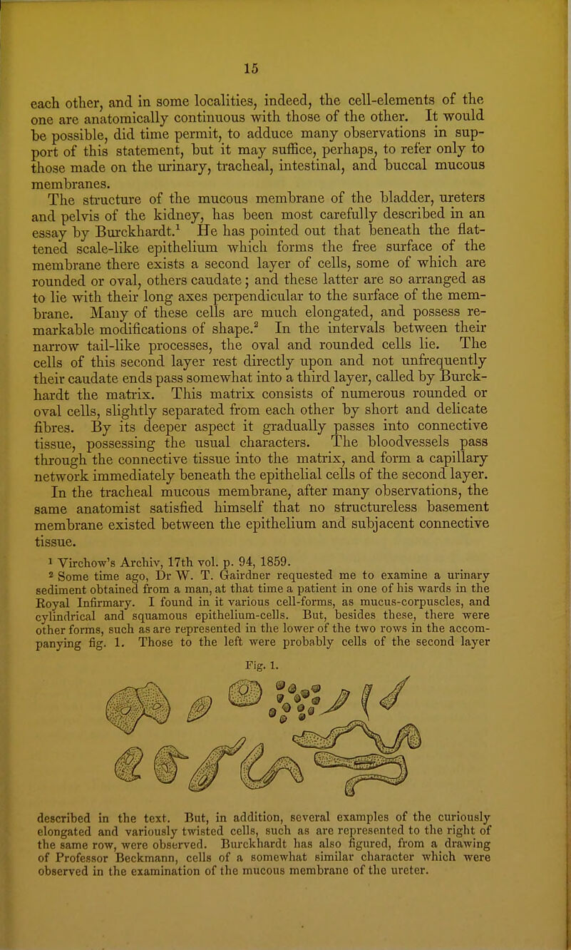 each other, and in some localities, indeed, the cell-elements of the one are anatomically continuous with those of the other. It would be possible, did time permit, to adduce many observations in sup- port of this statement, but it may suffice, perhaps, to refer only to those made on the urinary, tracheal, intestinal, and buccal mucous membranes. The structure of the mucous membrane of the bladder, ureters and pelvis of the kidney, has been most carefully described in an essay by Burckhardt.1 He has pointed out that beneath the flat- tened scale-like epithelium which forms the free surface of the membrane there exists a second layer of cells, some of which are rounded or oval, others caudate; and these latter are so arranged as to lie with their long axes perpendicular to the surface of the mem- brane. Many of these cells are much elongated, and possess re- markable modifications of shape.2 In the intervals between their narrow tail-like processes, the oval and rounded cells lie. The cells of this second layer rest directly upon and not unfrequently their caudate ends pass somewhat into a third layer, called by Burck- hardt the matrix. This matrix consists of numerous rounded or oval cells, slightly separated from each other by short and delicate fibres. By its deeper aspect it gradually passes into connective tissue, possessing the usual characters. The bloodvessels pass through the connective tissue into the matrix, and form a capillary network immediately beneath the epithelial cells of the second layer. In the tracheal mucous membrane, after many observations, the same anatomist satisfied himself that no structureless basement membrane existed between the epithelium and subjacent connective tissue. 1 Virchow's Archiv, 17th vol. p. 94, 1859. 2 Some time ago, Dr W. T. Gairdner requested me to examine a urinary sediment obtained from a man, at that time a patient in one of his wards in the Royal Infirmary. I found in it various cell-forms, as mucus-corpuscles, and cylindrical and squamous epithelium-cells. But, besides these, there were other forms, such as are represented in the lower of the two rows in the accom- panying fig. 1. Those to the left were probably cells of the second layer Fig. 1. described in the text. But, in addition, several examples of the curiously elongated and variously twisted cells, such as are represented to the right of the same row, were observed. Burckhardt has also figured, from a drawing of Professor Beckmann, cells of a somewhat similar character which were observed in the examination of the mucous membrane of the ureter.