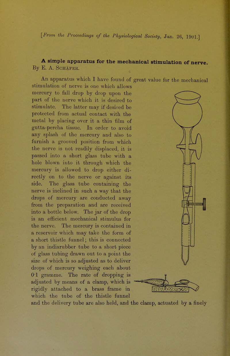 [From the Proceedings of the Physiological Society, Jan. 26, 19U1.] A simple apparatus for the mechanical stimulation of nerve. By E. A. Schafek. An apparatus which I have found of great value for the mechanical stimulation of nerve is one which allows mercury to fall drop by drop upon the part of the nerve which it is desired to stimulate. The latter may if desired be protected from actual contact with the metal by placing over it a thin film of gutta-percha tissue. In order to avoid any splash of the mercury and also to furnish a grooved position from which the nerve is not readily displaced, it is passed into a short glass tube with a hole blown into it through which the mercury is allowed to drop either di- rectly on to the nerve or against its side. The glass tube containing the nerve is inclined in such a way that the drops of mercury are conducted away from the preparation and are received into a bottle below. The jar of the drop is an efficient mechanical stimulus for the nerve. The mercury is contained in a reservoir which may take the form of a short thistle funnel; this is connected by an indiarubber tube to a short piece of glass tubing drawn out to a point the size of which is so adjusted as to deliver drops of mercury weighing each about 01 gramme. The rate of dropping is adjusted by means of a clamp, which is rigidly attached to a brass frame in which the tube of the thistle funnel and the delivery tube are also held, and the clamp, actuated by a finely