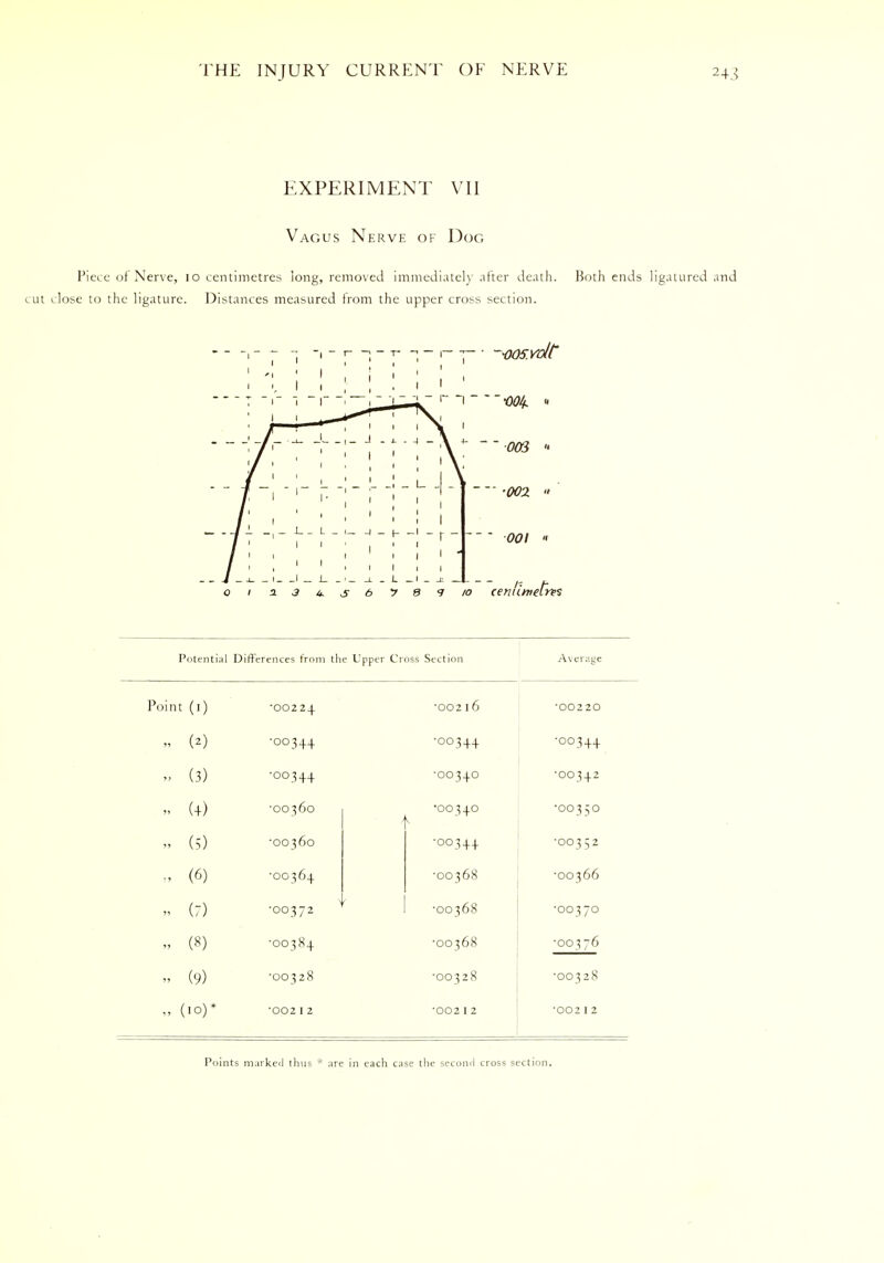 EXPERIMENT VII Vagus Nerve of Dog Piece of Nerve, 10 centimetres long, removed immediately after death. Both ends ligatured and cut close to the ligature. Distances measured from the upper cross section. Potential Differences from the Upper Cross Section Average Poi It (!) •00224 (*) •00344 (3) ■00344 ( + ) •00360 (5) •00360 (6) •00364 (7) •00372 (8) ■00384 (9) •00328 (10)* •002 1 2 •002 16 •00220 •00344 •00344 •00340 •00342 •00340 '00350 •00344 •00352 •00368 •00366 •00368 •00370 •00368 •00376 •00328 ■00328 •002 1 2 •002 1 2