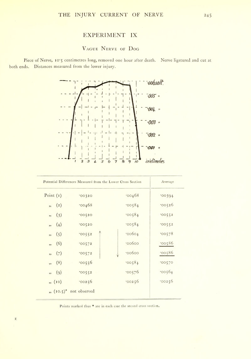 EXPERIMENT IX Vague Nerve of Dog Piece of Nerve, 10-5 centimetres long, removed one hour after death. Nerve ligatured and cut at both ends. Distances measured from the lower injury. Potential Differences Measured from the Lower Cross Section Average Point (1) •00320 •00468 •OO394 n (*) •00468 •00584 •OO526 n (3) •00520 •00584 •OO552 „ (+) •00520 •00584 •OO552 n (5) •00552 ' •00604 •OO578 n (6) •00572 •00600 •OO586 » (7) •00572 > •00600 •OO586 „ (8) •005 56 •00584 •OO57O n (9) •00552 •00576 •OO564 „ (IO) •00256 •00256 •OO256 „ (10.5)* not observed Points marked thus * are in each case the second cross section. E