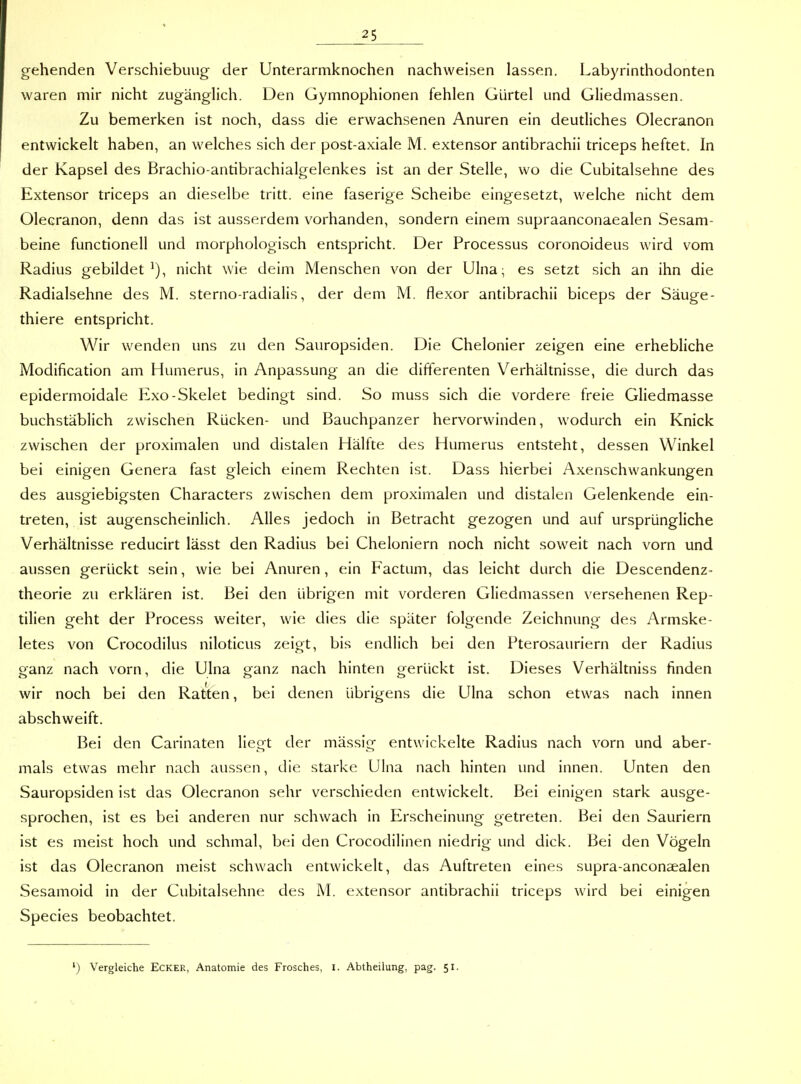 gehenden Verschiebung der Unterarmknochen nachweisen lassen. Labyrinthodonten waren mir nicht zugänglich. Den Gymnophionen fehlen Gürtel und Gliedmassen. Zu bemerken ist noch, dass die erwachsenen Anuren ein deutliches Olecranon entwickelt haben, an welches sich der post-axiale M. extensor antibrachii triceps heftet. In der Kapsel des Brachio-antibrachialgelenkes ist an der Stelle, wo die Cubitalsehne des Extensor triceps an dieselbe tritt, eine faserige Scheibe eingesetzt, welche nicht dem Olecranon, denn das ist ausserdem vorhanden, sondern einem supraanconaealen Sesam- beine functionell und morphologisch entspricht. Der Processus coronoideus wird vom Radius gebildet^), nicht wie deim Menschen von der Ulna; es setzt sich an ihn die Radialsehne des M. sterno-radialis, der dem M. flexor antibrachii biceps der Säuge- thiere entspricht. Wir wenden uns zu den Sauropsiden. Die Chelonier zeigen eine erhebliche Modification am Humerus, in Anpassung an die differenten Verhältnisse, die durch das epidermoidale Exo-Skelet bedingt sind. So muss sich die vordere freie Gliedmasse buchstäblich zwischen Rücken- und Bauchpanzer hervorwinden, wodurch ein Knick zwischen der proximalen und distalen Hälfte des Humerus entsteht, dessen Winkel bei einigen Genera fast gleich einem Rechten ist. Dass hierbei Axenschwankungen des ausgiebigsten Characters zwischen dem proximalen und distalen Gelenkende ein- treten, ist augenscheinlich. Alles jedoch in Betracht gezogen und auf ursprüngliche Verhältnisse reducirt lässt den Radius bei Cheloniern noch nicht soweit nach vorn und aussen gerückt sein, wie bei Anuren, ein Factum, das leicht durch die Descendenz- theorie zu erklären ist. Bei den übrigen mit vorderen Gliedmassen versehenen Rep- tilien geht der Process weiter, wie dies die später folgende Zeichnung des Armske- letes von Crocodilus niloticus zeigt, bis endlich bei den Pterosauriern der Radius ganz nach vorn, die Ulna ganz nach hinten gerückt ist. Dieses Verhältniss finden wir noch bei den Ratten, bei denen übrigens die Ulna schon etwas nach innen abschweift. Bei den Carinaten liegt der massig entwickelte Radius nach vorn und aber- mals etwas mehr nach aussen, die starke Ulna nach hinten und innen. Unten den Sauropsiden ist das Olecranon sehr verschieden entwickelt. Bei einigen stark ausge- sprochen, ist es bei anderen nur schwach in Erscheinung getreten. Bei den Sauriern ist es meist hoch und schmal, bei den Crocodilinen niedrig und dick. Bei den Vögeln ist das Olecranon meist schwach entwickelt, das Auftreten eines supra-anconaealen Sesamoid in der Cubitalsehne des M. extensor antibrachii triceps wird bei einigen Speeles beobachtet. ') Vergleiche Ecker, Anatomie des Frosches, i. Abtheilung, pag. 51.