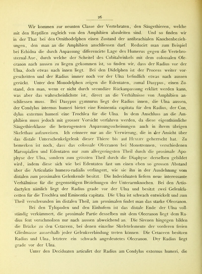 Wir kommen zur neunten Classe der Vertebraten, den Säugethieren, welche mit den Reptilien zugleich von den Amphibien abzuleiten sind. Und so finden wir in der That bei den Ornithodelphen einen Zustand der antibrachialen Knochenbezieh- ungen, den man an die Amphibien anschliessen darf. Reducirt man zum Beispiel bei Echidna die durch Anpassung differencirte Lage des Humerus gegen die Vertebro- sternal-Axe, durch welche der Scheitel des Cubitalwinkels mit dem colossalen Ole- cranon nach aussen zu liegen gekommen ist, so finden wir, dass der Radius vor der Ulna, doch etwas nach innen liegt. Bei den Didelphen ist der Process weiter vor- geschritten und der Radius immer noch vor der Ulna befindlich etwas nach aussen gerückt. Unter den Monodelphen zeigen die Edentaten, zumal Dasypus, einen Zu- stand, den man, wenn er nicht durch secundäre Rückanpassung erklärt werden kann, was aber das wahrscheinlichste ist, direct an die Verhältnisse von Amphibien an- schliessen muss. Bei Dasypus gymnurus liegt der Radius innen, die Ulna aussen, der Condylus internus humeri bietet eine Eminentia capitata für den Radius, der Con. dylus externus humeri eine Trochlea für die Ulna. In dem Anschluss an die Am- phibien muss jedoch mit grosser Vorsicht verfahren werden, da diese eigenthümliche Säugethierklasse die heterogensten Anpassungsscheinungen auch in ihrem übrigen Skeletbau aufzuweisen. Ich erinnere nur an die Verwirrung, die in der Ansicht über das distale Unterschenkelgelenk dieser Thiere bis aul Huxley geherrscht hat. Zu bemerken ist noch, dass das colossale Olecranon bei Monotrennen, verschiedenen Marsupialien und Edentaten nur zum allergeringsten Theil durch die proximale Apo- physe der Ulna, sondern zum grössten Theil durch die Diaphyse derselben gebildet wird, indem diese sich wie bei Edentaten fast um einen eben so grossen Abstand über die Articulatio humero-radialis verlängert, wie sie ihn in der Ausdehnung vom distalen zum proximalen Gelenkende besitzt. Die Indeciduaten liefern neue interessante Verhältnisse für die gegenseitigen Beziehungen der Unterarmknochen. Bei den Artio- dactylen nämlich liegt der Radius grade vor der Ulna und besitzt zwei Gelenkfa- cetten für die Trochlea und Eminentia capitata. Die Ulna ist schwach entwickelt und zum Theil verschwunden im distalen Theil, am proximalen findet man das starke Olecranon. Bei den Tylopoden und den Einhufern ist das distale Ende der Ulna voll- ständig verkümmert, die proximale Partie desselben mit dem Olecranon liegt dem Ra- dius fest verschmolzen nur nach aussen abweichend an. Die Sirenen hingegen bilden die Brücke zu den Cetaceen, bei denen einzelne Skeletelemente der vorderen freien Gliedmasse ausserhalb jeder Gelenkverbindung treten können. Die Cetaceen besitzen Radius und Ulna, letztere ein schwach angedeutetes Olecranon. Der Radius liegt grade vor der Ulna. Unter den Deciduaten articulirt der Radius am Condylus externus humeri, die