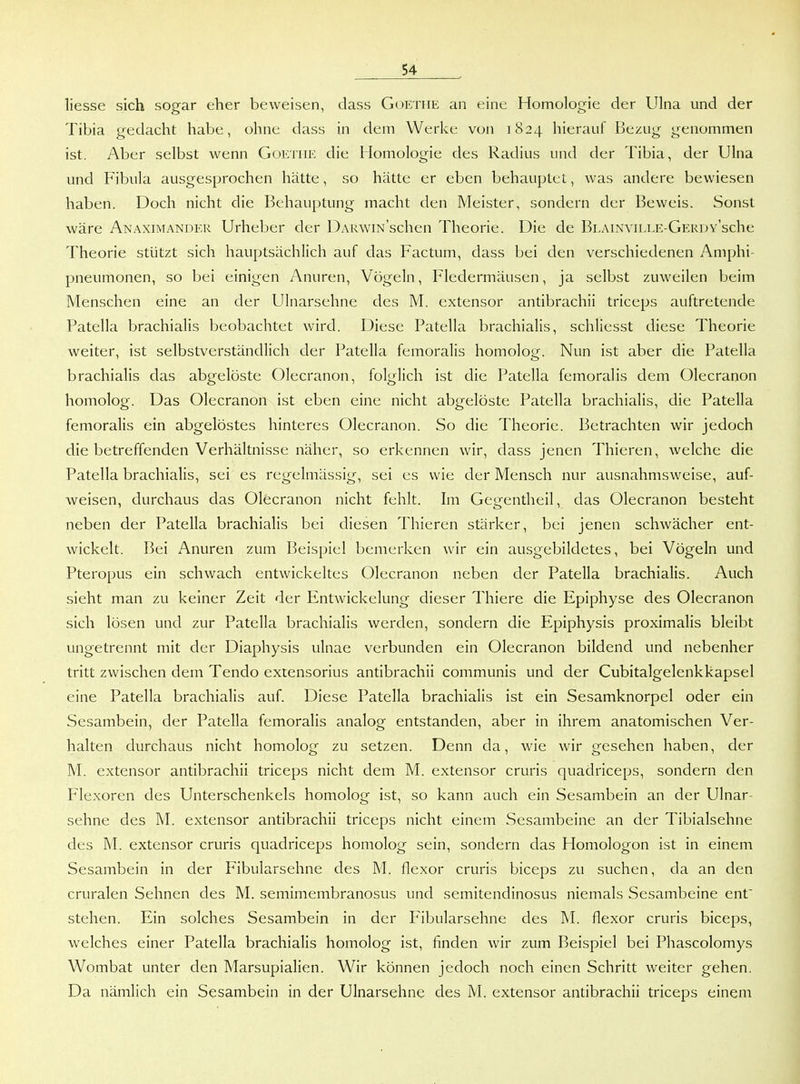 Hesse sich sogar eher beweisen, dass Goethe an eine Homologie der Ulna und der Tibia gedacht habe, ohne dass in dem Werke von 1824 hierauf Bezug genommen ist. Aber selbst wenn Goethe die Homologie des Radius und der Tibia, der Ulna und Fibula ausgesprochen hätte, so hätte er eben behauptet, was andere bewiesen haben. Doch nicht die Behauptung macht den Meister, sondern der Beweis. Sonst wäre Anaximander Urheber der DARwm'schen Theorie. Die de BLAiNviLLE-GERDv'sche Theorie stützt sich hauptsächlich auf das Factum, dass bei den verschiedenen Amphi- pneumonen, so bei einigen Anuren, Vögeln, Fledermäusen, ja selbst zuweilen beim Menschen eine an der Ulnarsehne des M. extensor antibrachii triceps auftretende Patella brachialis beobachtet wird. Diese Patella brachialis, schliesst diese Theorie weiter, ist selbstverständlich der Patella femoralis homolog. Nun ist aber die Patella brachialis das abgelöste Olecranon, folglich ist die Patella femoralis dem Olecranon homolog. Das Olecranon ist eben eine nicht abgelöste Patella brachialis, die Patella femoralis ein abgelöstes hinteres Olecranon. So die Theorie. Betrachten wir jedoch die betreffenden Verhältnisse näher, so erkennen wir, dass jenen Thieren, welche die Patella brachialis, sei es regelmässig, sei es wie der Mensch nur ausnahmsweise, auf- weisen, durchaus das Olecranon nicht fehlt, hn Gegentheil, das Olecranon besteht neben der Patella brachialis bei diesen Thieren stärker, bei jenen schwächer ent- wickelt. Bei Anuren zum Beispiel bemerken wir ein ausgebildetes, bei Vögeln und Pteropus ein schwach entwickeltes Olecranon neben der Patella brachialis. Auch sieht man zu keiner Zeit der Entwickelung dieser Thiere die Epiphyse des Olecranon sich lösen und zur Patella brachialis werden, sondern die Epiphysis proximalis bleibt ungetrennt mit der Diaphysis ulnae verbunden ein Olecranon bildend und nebenher tritt zwischen dem Tendo extensorius antibrachii communis und der Cubitalgelenkkapsel eine Patella brachialis auf. Diese Patella brachialis ist ein Sesamknorpel oder ein Sesambein, der Patella femoralis analog entstanden, aber in ihrem anatomischen Ver- halten durchaus nicht homolog zu setzen. Denn da, wie wir gesehen haben, der M. extensor antibrachii triceps nicht dem M. extensor cruris quadriceps, sondern den Flexoren des Unterschenkels homolog ist, so kann auch ein Sesambein an der Ulnar- sehne des M. extensor antibrachii triceps nicht einem Sesambeine an der Tibialsehne des M. extensor cruris quadriceps homolog sein, sondern das Homologon ist in einem Sesambein in der Fibularsehne des M. flexor cruris biceps zu suchen, da an den cruralen Sehnen des M. semimembranosus und semitendinosus niemals Sesambeine ent stehen. Ein solches Sesambein in der Fibularsehne des M. flexor cruris biceps, welches einer Patella brachialis homolog ist, finden wir zum Beispiel bei Phascolomys Wombat unter den Marsupialien. Wir können jedoch noch einen Schritt weiter gehen. Da nämlich ein Sesambein in der Ulnarsehne des M. extensor antibrachii triceps einem