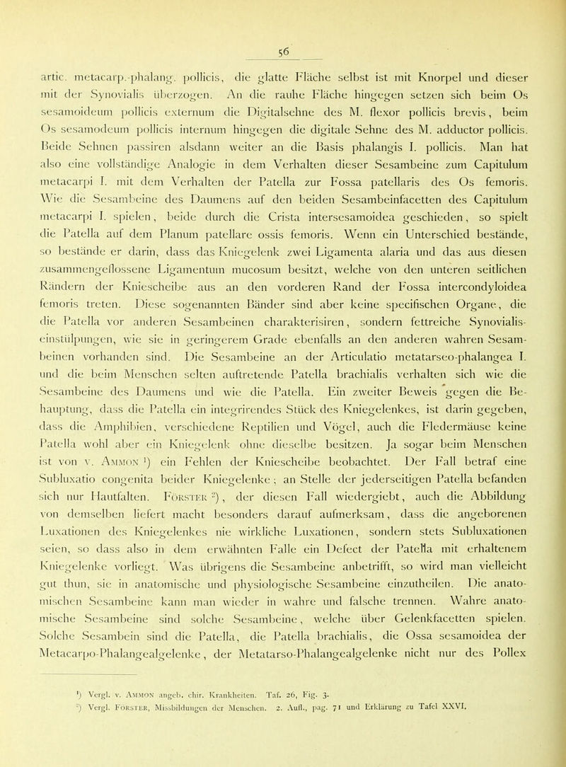 artic. metacarp.-phalang. pollicis, die glatte Fläche selbst ist mit Knorpel und dieser mit der Synovialis überzogen. An die rauhe Fläche hingegen setzen sich beim Os sesamoideum pollicis externum die Digitalsehne des M. flexor pollicis brevis, beim Os sesamodeum pollicis internum hingegen die digitale Sehne des M. adductor pollicis. Beide Sehnen passiren alsdann weiter an die Basis phalangis I. pollicis. Man hat also eine vollständige Analogie in dem Verhalten dieser Sesambeinc zum Capitulum metacarpi I. mit dem Verhalten der Patella zur Fossa patellaris des Os femoris. Wie die Sesambeine des Daumens auf den beiden Sesambeinfacetten des Capitulum metacarpi I. spielen, beide durch die Crista intersesamoidea geschieden, so spielt die Patella auf dem Planum patellarc ossis femoris. Wenn ein Unterschied bestände, so bestände er darin, dass das Kniegelenk zwei Ligamenta alaria und das aus diesen zusammengeflossene Ligamentum mucosum besitzt, welche von den unteren seitlichen Rändern der Kniescheibe aus an den vorderen Rand der Fossa intercondyloidea femoris treten. Diese sogenannten Bänder sind aber keine specifischen Organe, die die Patella vor anderen Sesambeinen charakterisiren, sondern fettreiche Synovialis- einstülpungen, wie sie in geringerem Grade ebenfalls an den anderen wahren Sesam- beinen vorhanden sind. Die Sesambeine an der Articulatio metatarseo-phalangea I. und die beim Menschen selten auftretende Patella brachialis verhalten sich wie die Sesambeine des Daumens und wie die Patella. Ein zweiter Beweis gegen die Be- hauptung, dass die Patella ein integrirendes Stück des Kniegelenkes, ist darin gegeben, dass die Amphibien, verschiedene Reptilien und Vögel, auch die Fledermäuse keine Patella wohl aber ein Kniegelenk ohne dieselbe besitzen. Ja sogar beim Menschen ist von v. Ammon ') ein Fehlen der Kniescheibe beobachtet. Der Fall betraf eine Subluxatio congenita beider Kniegelenke ; an Stelle der jederseitigen Patella befanden sich nur Hautfalten. Förster-), der diesen Fall wiedergiebt, auch die Abbildung von demselben liefert macht besonders darauf aufmerksam, dass die angeborenen Luxationen des Kniegelenkes nie wirkliche Luxationen, sondern stets Subluxationen seien, so dass also in dem erwähnten Falle ein Defect der Patella mit erhaltenem Kniegelenke vorliegt. Was übrigens die Sesambeine anbetrifft, so wird man vielleicht gut thun, sie in anatomische und physiologische Sesambeine einzutheilen. Die anato- mischen Sesambeine kann man wieder in wahre und falsche trennen. Wahre anato- mische Sesambeine sind solche Sesambeine, welche über Gelenkfacetten spielen. Solche Sesambein sind die Patella, die Patella brachialis, die Ossa sesamoidea der Metacarpo-Phalangealgelenke, der Metatarso-Phalangealgelenke nicht nur des Pollex ') Vergl. V. Ammon angeb. chir. Krankheilcii. Taf. 26, Fig. 3. ) Vergl. Förster, Missbildungcn der Menschen. 2. Aull., pag. 71 und Erklärung zu Tafel XXVI.