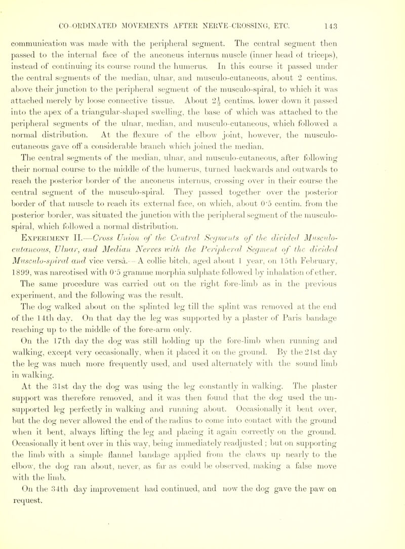communication was made with the peripheral segment. The central segment then passed to the internal face of the anconeus internus muscle (inner head of triceps), instead of continuing its coiu'se round the humerus. In this course it passed under tlie central segments of the median, ulnar, and musculo-cutaneous, ahout 2 centims. above their junction to the peripheral segment of the musculo-spiral, to which it was attached merely by loose connective tissue. A])out 2^ centims. lower down it passed into the apex of a triangular-shaped swelling, the base of which was attached to the peripheral segments of the ulnar, median, and musculo-cutaneous, which followed a normal distribution. At the flexure of tlie elbow joint, however, tlie nuisculo- cutaneous gave ofl'a considerable branch which joined the median. The central segments of the median, ulnar, and musculo-cutaneous, after following their normal course to the middle of the Innnerus, turned backwards and outwards to reach the posterii^r border of the anconeus interiuis, crossing over in tlieir course the central segment of the nuisculo-spiral. They passed together over the posterior l)order of that nuiscle to reach its external lace, on wbich, about 05 centiin. from the ])osterior Ijorder, was situated tlie junction with the peripheral segment of the musculo- spiral, which followed a normal distribution. ExrERiMENT II.—Cross Union of tlie Central S('<jmcnfs of tlic divided Mnscido- cHtaneous, Ulnar, and Median Nerves witli the Periplieral Ser/nieiit of the dirided Musculo-spiral and. vice versa. - A collie Ijitcli, aged aljout 1 year, on lotli Fel)ruary, 1899, was narcotised with 0'5 gramme morphia sulphate followed by inhalation of ether. The same procedure was carried out on the right fore-liml) as in the previous experiment, and the following was the I'esult. The dog walked about on the splinted leg till the s])lint was removed at the end of the 14th day. On that day the leg was supported by a plaster of Paris bandage reaching up to the middle of the fore-arm only. On the 17th day the dog was still holding u]) the fore-limb when running and walking, except very occasionally, when it j^laced it on the ground. By the 21st day the leg was much more frequently used, and used alternately with the sound limb in walking. At the 31st day the dog was using the leg constantly in walking. Tlie plaster support was therefore removed, and it was then f()und tliat the dog used the un- supported leg perfectly in walking and running about. Occasionally it bent over, 1)ut the dog never allowed the end of the radius to come into contact with the ground when it bent, always lifting the leg and placing it again correctly on the ground. Occasionally it bent over in this way, being innnediately readjusted ; hwt on supporting tlie limb with a simple flannel l)andage ap})lied from tlie claws up nearly to the elbow, the doii' ran about, never, as far as could be observed, making a false move with the limb. On the r)4th day improvement had continued, and now the dog gave the paw on request.