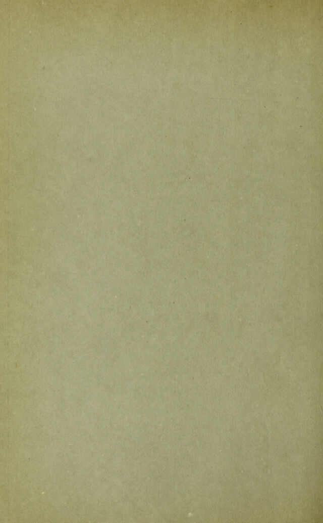 digitised image 2