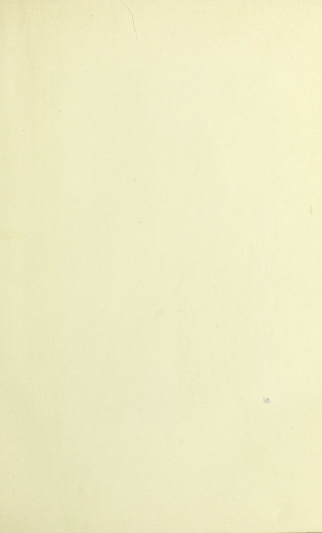 digitised image 3