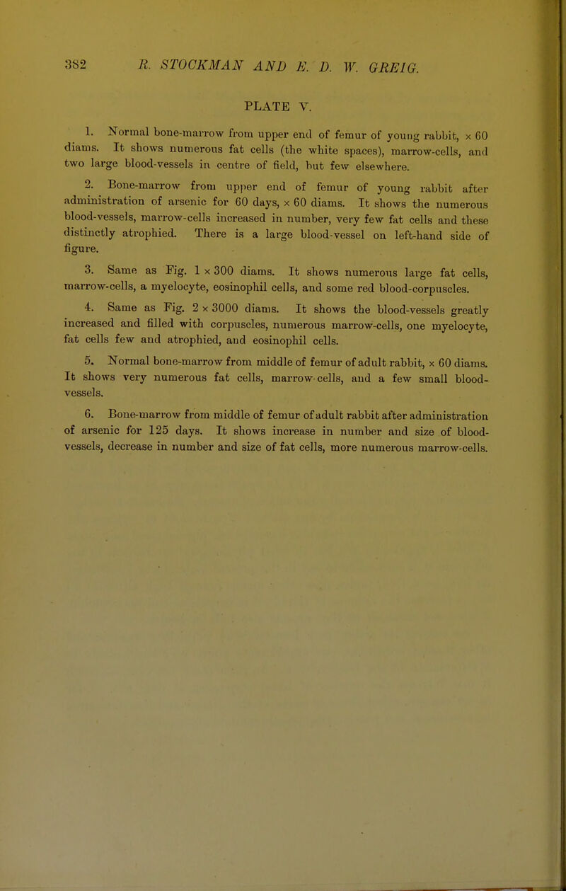 PLATE V. 1. Normal bone-marrow from upper end of femur of young rabbit, x 60 diams. It shows numerous fat cells (the white spaces), marrow-cells, and two large blood-vessels in centre of field, but few elsewhere. 2. Bone-marrow from upper end of femur of young rabbit after administration of arsenic for 60 days, x 60 diams. It shows the numerous blood-vessels, marrow-cells increased in number, very few fat cells and these distinctly atrophied. There is a large blood-vessel on left-hand side of figure. 3. Same as Fig. 1 x 300 diams. It shows numerous large fat cells, marrow-cells, a myelocyte, eosinophil cells, and some red blood-corpuscles. 4. Same as Fig. 2 x 3000 diams. It shows the blood-vessels greatly increased and filled with corpuscles, numerous marrow-cells, one myelocyte, fat cells few and atrophied, and eosinophil cells. 5. Normal bone-marrow from middle of femur of adult rabbit, x 60 diams. It shows very numerous fat cells, marrow-cells, and a few small blood- vessels. 6. Bone-marrow from middle of femur of adult rabbit after administration of arsenic for 125 days. It shows increase in number and size of blood- vessels, decrease in number and size of fat cells, more numerous marrow-cells.
