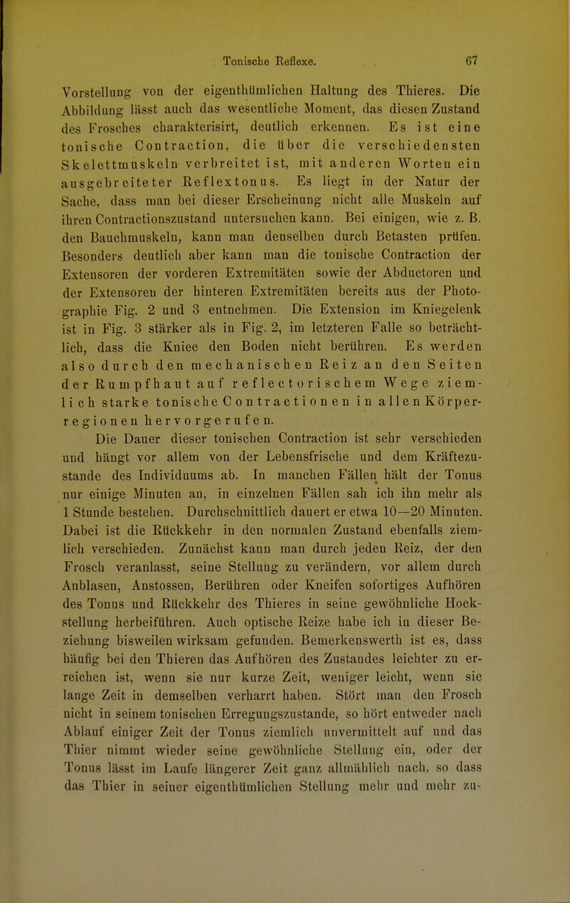 Vorstellung von der eigenthümlichen Haltung des Thieres. Die Abbildung lässt auch das wesentliche Moment, das diesen Zustand des Frosches charakterisirt, deutlich erkennen. Es ist eine tonische Contraction, die über die verschiedensten Skelettmuskeln verbreitet ist, mit anderen Worten ein ausgebreiteter Reflextonus. Es liegt in der Natur der Sache, dass man bei dieser Erscheinung nicht alle Muskeln auf ihren Contractionszustand untersuchen kann. Bei einigen, wie z. B. den Bauchmuskeln, kann man denselben durch Betasten prüfen. Besonders deutlich aber kann man die tonische Contraction der Extensoren der vorderen Extremitäten sowie der Abductoren und der Extensoren der hinteren Extremitäten bereits aus der Photo- graphie Fig. 2 und 3 entnehmen. Die Extension im Kniegelenk ist in Fig. 3 stärker als in Fig. 2, im letzteren Falle so beträcht- lich, dass die Kniee den Boden nicht berühren. Es werden also durch den mechanischen Reiz an den Seiten der Rumpfhaut auf reflectorischemWege ziem- lich starke tonische Contractionen in allen Kör per- reg i o n e n hervorgerufen. Die Dauer dieser tonischen Contraction ist sehr verschieden und hängt vor allem von der Lebensfrische und dem Kräftezu- stande des Individuums ab. In manchen Fällen hält der Tonus nur einige Minuten an, in einzelnen Fällen sah ich ihn mehr als 1 Stunde bestehen. Durchschnittlich dauert er etwa 10—20 Minuten. Dabei ist die Rückkehr in den normalen Zustand ebenfalls ziem- lich verschieden. Zunächst kann man durch jeden Reiz, der den Frosch veranlasst, seine Stellung zu verändern, vor allem durch Anblasen, Anstossen, Berühren oder Kneifen sofortiges Aufhören des Tonus und Rückkehr des Thieres in seine gewöhnliche Hock- stellung herbeiführen. Auch optische Reize habe ich in dieser Be- ziehung bisweilen wirksam gefunden. Bemerkenswerth ist es, dass häufig bei den Thieren das Aufhören des Zustandes leichter zu er- reichen ist, wenn sie nur kurze Zeit, weniger leicht, wenn sie lange Zeit in demselben verharrt haben. Stört man den Frosch nicht in seinem tonischen Erregungszustände, so hört entweder nach Ablauf einiger Zeit der Tonus ziemlich unvermittelt auf und das Thier nimmt wieder seine gewöhnliche Stellung ein, oder der Tonus lässt im Laufe längerer Zeit ganz allmählich nach, so dass das Thier in seiner eigenthümlichen Stellung mehr und mehr zu-