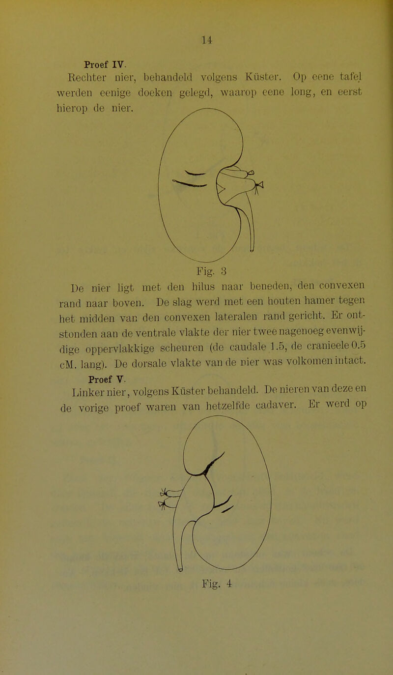 14- Proef IV. Rechter nier, behandold volgens Küster. Op eeiie tafel werden eenige doeken gelegd, waarop eene long, en eerst hierop de nier. Fig. 3 De nier hgt met den hilus naar beneden, den convexen rand naar boven. De slag werd met een houten hamer tegen het midden van den convexen lateralen rand gericht. Er ont- stonden aan de ventrale vlakte der nier twee nagenoeg evenwij- dige oppei-vlakkige scheuren (de caudale 1.5, de cranieele 0.5 cM. lang). De dorsale vlakte van de nier was volkomen intact. Proef V. Linker nier, volgens Küster behandeld. De nieren van deze en de vorige proef waren van hetzelfde cadaver. Er werd op