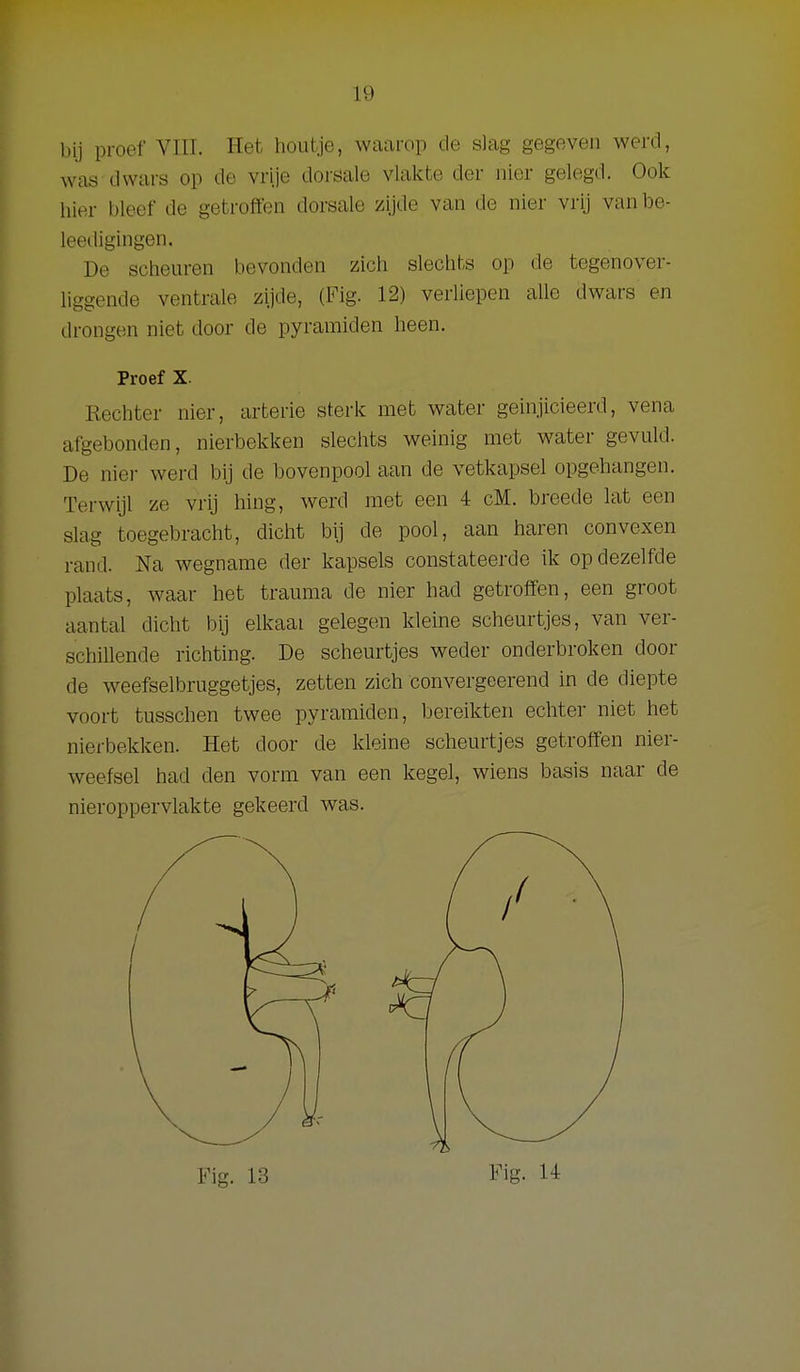 bij proef VIII. Het houtje, waarop de slag gegeven werd, was dwars op de vrije dorsale vlakte der nier gelegd. Ook hier bleef de getrofien dorsale zijde van de nier vrij vanbe- leedigingen. De sclieuren bevonden zich slechts op de tegenover- liggende ventrale zijde, (Fig. 12) verliepen alle dwars en drongen niet door de pyramiden heen. Proef X. Rechter nier, arterie sterk met water geinjicieerd, vena afgebonden, nierbekken slechts weinig met water gevuld. De nier werd bij de bovenpool aan de vetkapsel opgehangen. Terwijl ze vrij hing, werd met een 4 cM. bi'eede lat een slag toegebracht, dicht bij de pool, aan haren convexen rand. Na wegname der kapsels constateerde ik op dezelfde plaats, waar het trauma de nier had getroffen, een groot aantal dicht bij elkaai gelegen kleine scheurtjes, van ver- schillende richting. De scheurtjes weder onderbroken door de weefselbruggetjes, zetten zich convergeerend in de diepte voort tusschen twee pyramiden, bereikten echter niet het nierbekken. Het door de kleine scheurtjes getroffen nier- weefsel had den vorm van een kegel, wiens basis naar de nieroppervlakte gekeerd was. Fig. 13 Fig. 14
