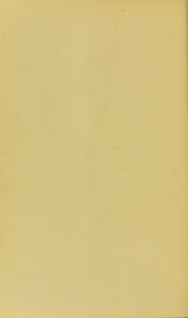 digitised image 2
