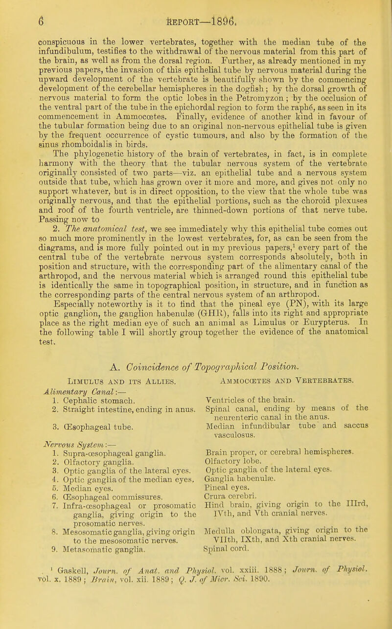 conspicuous in the lower vertebrates, together with the median tube of the infundibulum, testifies to the withdrawal of the nervous material from this part of the brain, as well as from the dorsal region. Further, as already mentioned in my previous papers, the invasion of this epithelial tube by nervous material during the upward development of the vertebrate is beautifully shown by the commencing development of the cerebellar hemispheres in the dogfish; by the dorsal growth of nervous material to form the optic lobes in the Petromyzon ; by the occlusion of the ventral part of the tube in the epichordal region to form the raph6, as seen in its commencement in Ammoccetes. Finally, evidence of another kind in favour of the tubular formation being due to an original non-nervous epithelial tube is given by the frequent occurrence of cystic tumours, and also by the formation of the sinus rhomboidalis in birds. The phylogenetic history of the brain of vertebrates, in fact, is in complete harinony with the theory that the tubular nervous system of the vertebrate originally consisted of two parts—viz. an epithelial tube and a nervous system outside that tube, which has grown over it more and more, and gives not only no support whatever, but is in direct opposition, to the view that the whole tube was originally nervous, and that the epithelial portions, such as the choroid plexuses and roof of the fourth ventricle, are thinned-down portions of that nerve tube. Passing now to 2. The anatomical test, we see immediately why this epithelial tube comes out so much more prominently in the lowest vertebrates, for, as can be seen from the diagrams, and is more fully pointed out in my previous papers,1 every part of the central tube of the vertebrate nervous system corresponds absolutely, both in position and structure, with the corresponding part of the alimentary canal of the arthropod, and the nervous material which is arranged round this epithelial tube is identically the same in topographical position, in structure, and in function as the corresponding parts of the central nervous system of an arthropod. Especially noteworthy is it to find that the pineal eye (PN), with its large optic ganglion, the ganglion habenulse (GHR), falls into its right and appropriate place as the right median eye of such an animal as Limulus or Eurypterus. In the following table I will shortly group together the evidence of the anatomical test. A. Coincidence of j Limulus and its Allies. Alimentary Canal:— 1. Cephalic stomach. 2. Straight intestine, ending in anus. 3. (Esophageal tube. Nervous System:— 1. Supra-cesophageal ganglia. 2. Olfactory ganglia. 3. Optic ganglia of the lateral eyes. 4. Optic ganglia of the median eyes. 6. Median eyes. 6. Oesophageal commissures. 7. Infra-CDSophageal or prosomatic ganglia, giving origin to the prosomatic nerves. 8. Mesosomatic ganglia, giving origin to the mesosomatic nerves. 9. Metasomatic ganglia. jpographical Position. Ammoccetes and Vertebbates. Ventricles of the brain. Spinal canal, ending by means of the neurenteric canal in the anus. Median infundibular tube' and saccus vasculosus. Brain proper, or cerebral hemispheres. Olfactory lobe. Optic ganglia of the lateral eyes. Ganglia habenulse. Pineal eyes. Crura cerebri. Hind brain, giving origin to the Hlrd, lYth, and Vth cranial nerves. Medulla oblongata, giving origin to the Vllth, IXth, and Xth cranial nerves. Spinal cord. ' Gaskell, Journ. of Anat. and. Physiol, vol. xxiii. 1888; Journ. of Physiol. vol. x. 1889 ; Brain, vol. xii. 1889; Q. J. of Mior. (Sot. 1890.