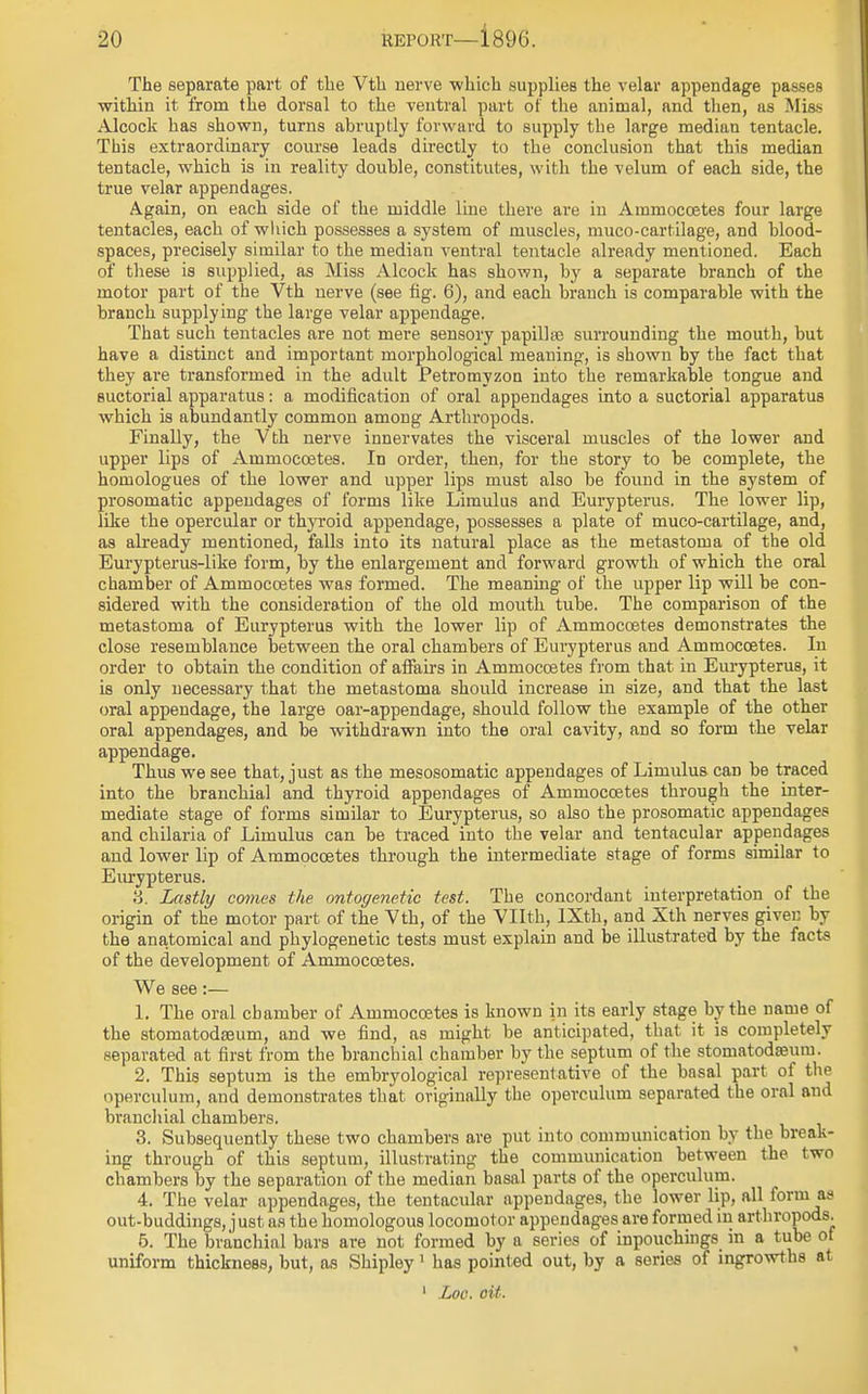The separate part of the Vtk nerve which supplies the velar appendage passes within it from the dorsal to the ventral part of the animal, and then, as Miss Alcock has shown, turns abruptly forward to supply the large median tentacle. This extraordinary course leads directly to the conclusion that this median tentacle, which is in reality double, constitutes, with the velum of each side, the true velar appendages. Again, on each side of the middle line there are in Aramoccetes four large tentacles, each of which possesses a system of muscles, muco-cartilage, and blood- spaces, precisely similar to the median ventral tentacle already mentioned. Each of these is supplied, as Miss Alcock has shown, by a separate branch of the motor part of the Vth nerve (see fig. 6), and each branch is comparable with the branch supplying the large velar appendage. That such tentacles are not mere sensory papillae surrounding the mouth, but have a distinct and important morphological meaning, is shown by the fact that they are transformed in the adult Petromyzon into the remarkable tongue and suctorial apparatus: a modification of oral appendages into a suctorial apparatus which is abundantly common among Arthropods. Finally, the Vth nerve innervates the visceral muscles of the lower and upper lips of Ammoccetes. In order, then, for the story to be complete, the homologues of the lower and upper lips must also be found in the system of prosomatic appendages of forms like Limulus and Eurypteins. The lower lip, like the opercular or thyroid appendage, possesses a plate of muco-cartilage, and, as already mentioned, falls into its natural place as the metastoma of the old Eurypterus-like form, by the enlargement and forward growth of which the oral chamber of Ammoccetes was formed. The meaning of the upper lip will be con- sidered with the consideration of the old mouth tube. The comparison of the metastoma of Eurypterus with the lower lip of Ammoccetes demonstrates the close resemblance between the oral chambers of Eurypterus and Ammocoetes. In order to obtain the condition of affairs in Ammoccetes from that in Eurypterus, it is only necessary that the metastoma should increase in size, and that the last oral appendage, the large oar-appendage, should follow the example of the other oral appendages, and be withdrawn into the oral cavity, and so form the velar appendage. Thus we see that, just as the mesosomatic appendages of Limulus can be traced into the branchial and thyroid appendages of Ammoccetes through the inter- mediate stage of forms similar to Eurypterus, so also the prosomatic appendages and chilaria of Limulus can be traced into the velar and tentacular appendages and lower lip of Ammoccetes through the intermediate stage of forms similar to Eurypterus. H. Lastly comes the ontogenetic test. The concordant interpretation of the origin of the motor part of the Vth, of the Vllth, IXth, and Xth nerves given by the anatomical and phylogenetic tests must explain and be illustrated by the facts of the development of Ammocoetes. We see:— I. The oral chamber of Ammocoetes is known in its early stage by the name of the stomatodseum, and we find, as might be anticipated, that it is completely separated at first from the branchial chamber by the septum of the stomatodasum. 2. This septum is the embryological representative of the basal part of the operculum, and demonstrates that originally the operculum separated the oral and branchial chambers. 3. Subsequently these two chambers are put into communication by the break- ing through of this septum, illustrating the communication between the two chambers by the separation of the median basal parts of the operculum. 4. The velar appendages, the tentacular appendages, the lower lip, all form as out-buddings, just as the homologous locomotor appendages are formed in arthropods. 5. The branchial bars are not formed by a series of inpouchings in a tube of uniform thickness, but, as Shipley 1 has pointed out, by a series of ingrowths at 1 Loo. oit.