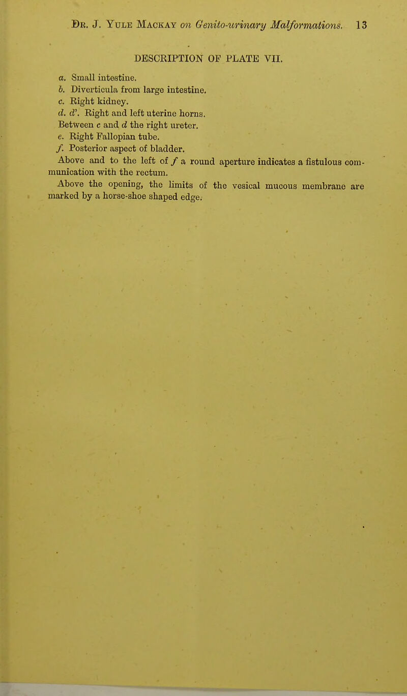 DESCRIPTION OF PLATE VII. a. Small iutostine. b. Diverticula from large intestine. c. Right kidney. d. d'. Right and left uterine horns. Between c and d the right ureter. e. Right Fallopian tube. /. Posterior aspect of bladder. Above and to the left of / a round aperture indicates a fistulous com- munication with the rectum. Above the opening, the limits of the vesical mucous membrane are marked by a horse-shoe shaped edge.