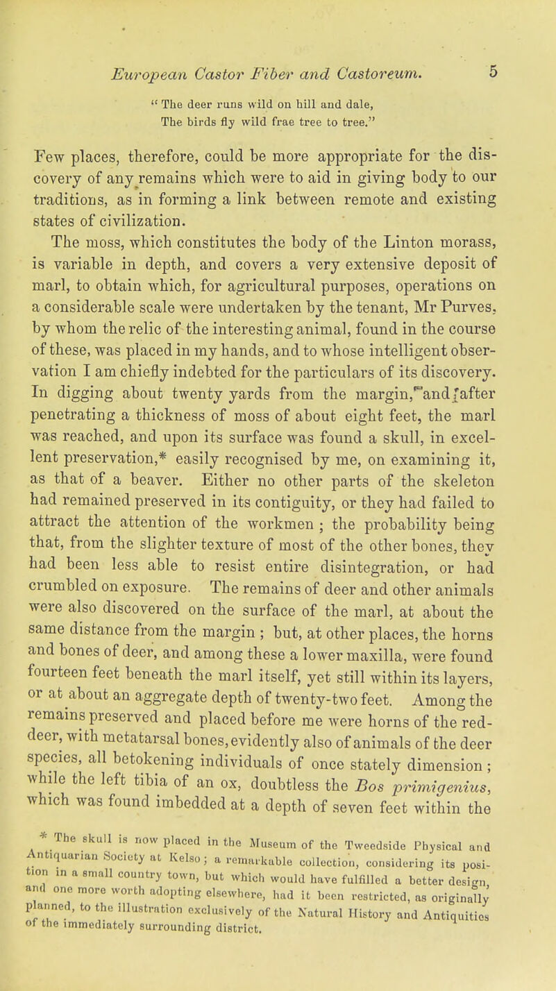  The deer runs wild on hill and dale, The birds fly wild frae tree to tree. Few places, therefore, could be more appropriate for the dis- covery of anyremains which were to aid in giving body to our traditions, as in forming a link between remote and existing states of civilization. The moss, which constitutes the body of the Linton morass, is variable in depth, and covers a very extensive deposit of marl, to obtain which, for agricultural purposes, operations on a considerable scale were undertaken by the tenant, Mr Purves, by whom the relic of the interesting animal, found in the course of these, was placed in my hands, and to whose intelligent obser- vation I am chiefly indebted for the particulars of its discovery. In digging about twenty yards from the margin^andf after penetrating a thickness of moss of about eight feet, the marl was reached, and upon its surface was found a skull, in excel- lent preservation,* easily recognised by me, on examining it, as that of a beaver. Either no other parts of the skeleton had remained preserved in its contiguity, or they had failed to attract the attention of the workmen • the probability being that, from the slighter texture of most of the other bones, they had been less able to resist entire disintegration, or had crumbled on exposure. The remains of deer and other animals were also discovered on the surface of the marl, at about the same distance from the margin ; but, at other places, the horns and bones of deer, and among these a lower maxilla, were found fourteen feet beneath the marl itself, yet still within its layers, or at about an aggregate depth of twenty-two feet. Among the remains preserved and placed before me were horns of the red- deer, with metatarsal bones, evidently also of animals of the deer species, all betokening individuals of once stately dimension; while the left tibia of an ox, doubtless the Bos primigenius, which was found imbedded at a depth of seven feet within the * The skull is now placed in the Museum of the Tweedside Physical and Ant.quar.an Society at Kelso; a remarkable collection, considering its posi- t.on ,n a small country town, but which would have fulfilled a better design ami one more worth adopting elsewhere, had it been restricted, as originally' planned, to the illustration exclusively of the Natural History and Antiquities ot the immediately surrounding district.