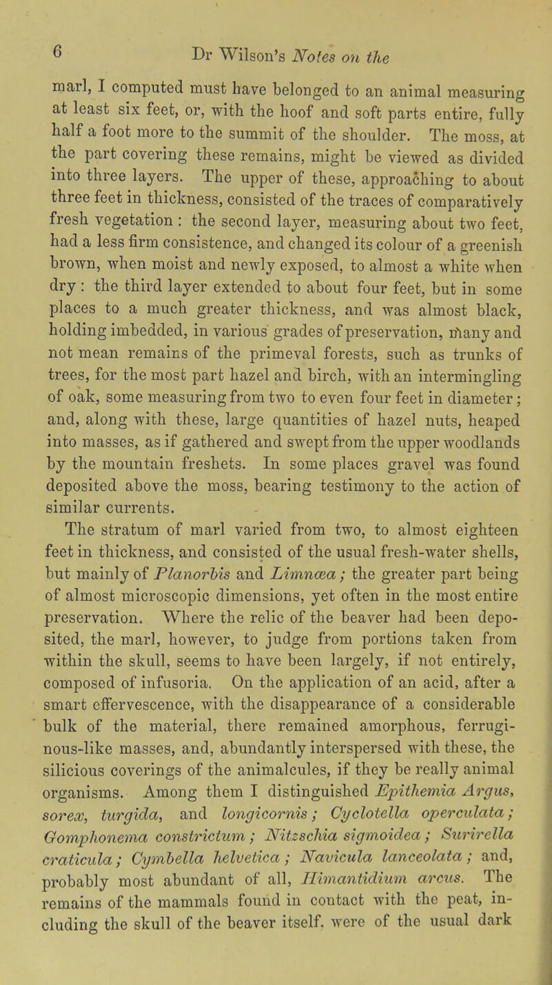 marl, I computed must have belonged to an animal measuring at least six feet, or, with the hoof and soft parts entire, fully half a foot more to the summit of the shoulder. The moss, at the part covering these remains, might be viewed as divided into three layers. The upper of these, approaching to about three feet in thickness, consisted of the traces of comparatively fresh vegetation : the second layer, measuring about two feet, had a less firm consistence, and changed its colour of a greenish brown, when moist and newly exposed, to almost a white when dry : the third layer extended to about four feet, but in some places to a much greater thickness, and was almost black, holding imbedded, in various grades of preservation, many and not mean remains of the primeval forests, such as trunks of trees, for the most part hazel and birch, with an intermingling of oak, some measuring from two to even four feet in diameter; and, along with these, large quantities of hazel nuts, heaped into masses, as if gathered and swept from the upper woodlands by the mountain freshets. In some places gravel was found deposited above the moss, bearing testimony to the action of similar currents. The stratum of marl varied from two, to almost eighteen feet in thickness, and consisted of the usual fresh-water shells, but mainly of Planorbis and Limncea; the greater part being of almost microscopic dimensions, yet often in the most entire preservation. Where the relic of the beaver had been depo- sited, the marl, however, to judge from portions taken from within the skull, seems to have been largely, if not entirely, composed of infusoria. On the application of an acid, after a smart effervescence, with the disappearance of a considerable bulk of the material, there remained amorphous, ferrugi- nous-like masses, and, abundantly interspersed with these, the silicious coverings of the animalcules, if they be really animal organisms. Among them I distinguished Epithemia Argus, sorex, turgida, and longicornis; Cyclotella operculata; Gomphonema constrictum; Nitzschia sigmoidea; Surirella craticula; Cymbella helvetica; Navicula lanceolata; and, probably most abundant of all, Himantidium arcus. The remains of the mammals found in contact with the peat, in- cluding the skull of the beaver itself, were of the usual dark
