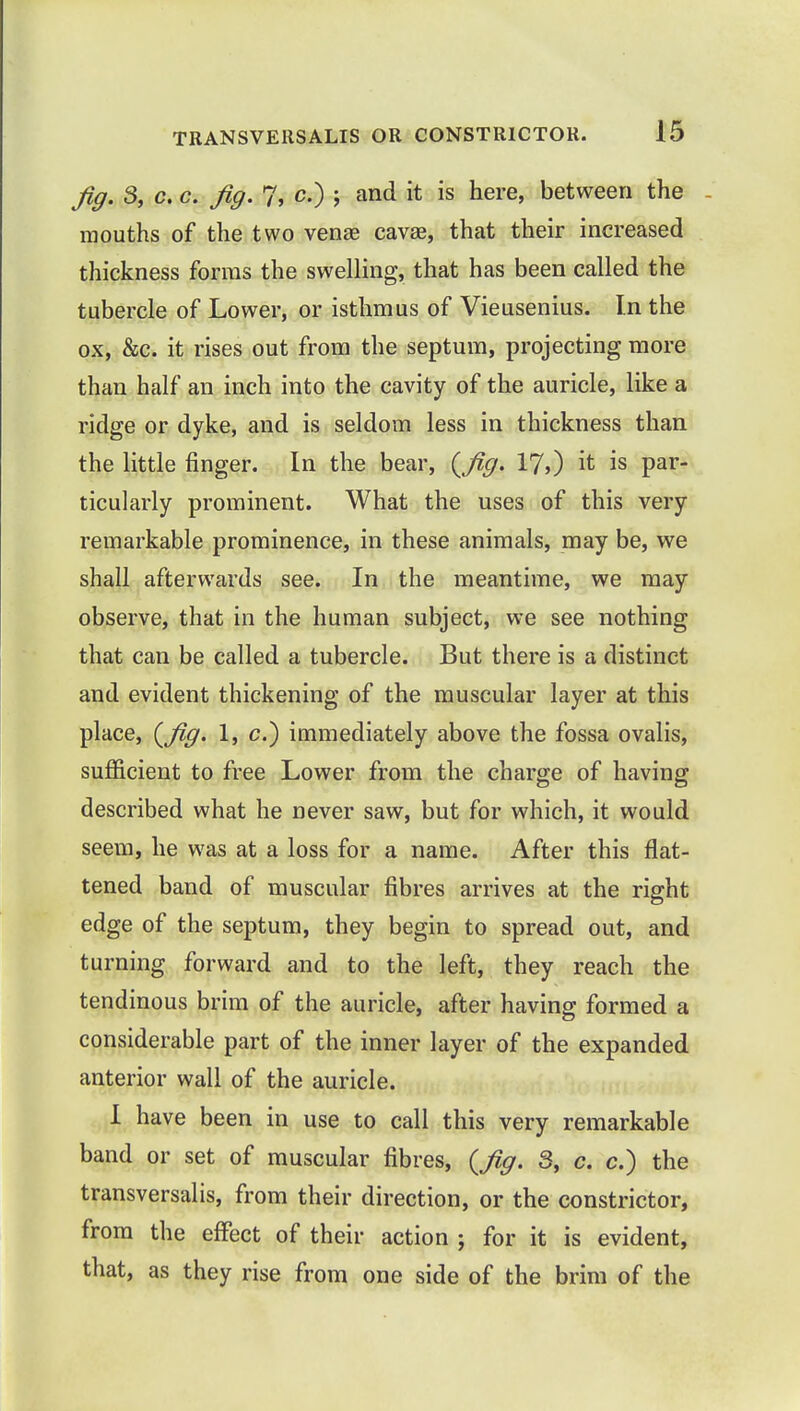 fig. 3, c. c. fig. 7, c.) ; and it is here, between the mouths of the two venas cavae, that their increased thickness forms the swelling, that has been called the tubercle of Lower, or isthmus of Vieusenius. In the ox, &c. it rises out from the septum, projecting more than half an inch into the cavity of the auricle, like a ridge or dyke, and is seldom less in thickness than the little finger. In the bear, {fig. 17,) it is par- ticularly prominent. What the uses of this very remarkable prominence, in these animals, may be, we shall afterwards see. In the meantime, we may observe, that in the human subject, we see nothing that can be called a tubercle. But there is a distinct and evident thickening of the muscular layer at this place, {fig. 1, c.) immediately above the fossa ovalis, sufficient to free Lower from the charge of having described what he never saw, but for which, it would seem, he was at a loss for a name. After this flat- tened band of muscular fibres arrives at the right edge of the septum, they begin to spread out, and turning forward and to the left, they reach the tendinous brim of the auricle, after having formed a considerable part of the inner layer of the expanded anterior wall of the auricle. I have been in use to call this very remarkable band or set of muscular fibres, (fig. 8, c. c.) the transversalis, from their direction, or the constrictor, from the effect of their action ; for it is evident, that, as they rise from one side of the brim of the