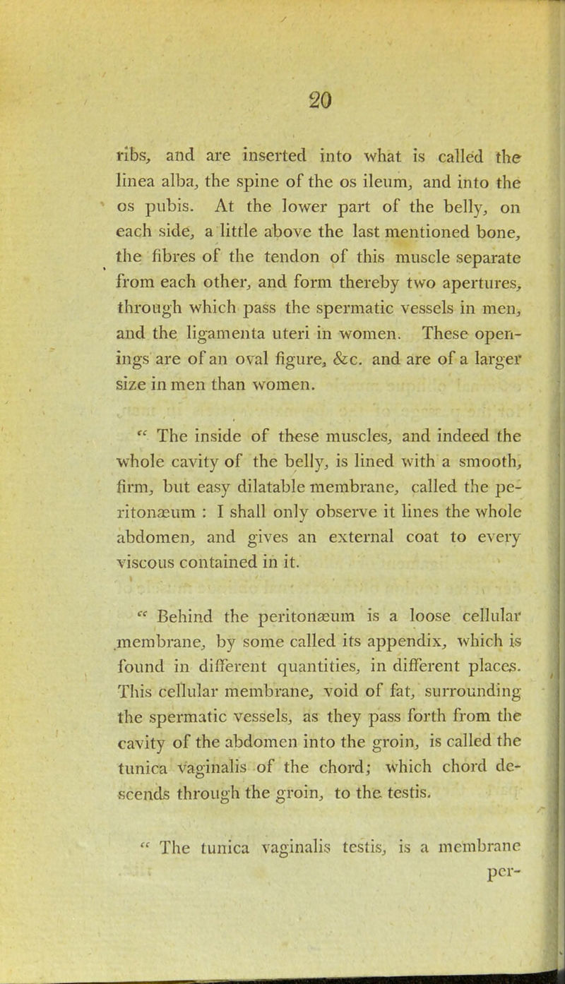 ribs, and are inserted into what is called the linea alba, the spine of the os ileum, and into the os pubis. At the lower part of the belly, on each side, a little above the last mentioned bone, the fibres of the tendon of this muscle separate from each other, and form thereby two apertures, through which pass the spermatic vessels in men, and the ligamenta uteri in women. These open- ings are of an oval figure, &c. and are of a larger size in men than women.  The inside of these muscles, and indeed the whole cavity of the belly, is lined with a smooth, firm, but easy dilatable membrane, called the pe- ritonaeum : I shall only observe it lines the whole abdomen, and gives an external coat to every viscous contained in it. ee Behind the peritonaeum is a loose cellular membrane, by some called its appendix, which is found in different quantities, in different places. This cellular membrane, void of fat, surrounding the spermatic vessels, as they pass forth from the cavity of the abdomen into the groin, is called the tunica vaginalis of the chord; which chord de- scends through the groin, to the testis.  The tunica vaginalis testis, is a membrane per-