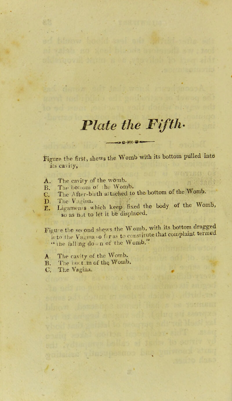 Figure the first, shews the Womb with its bottom piffled intb its ca> 117, A. The cavity of the womb. B. Th« hbtiom Of he Womb. C. The After-bu th at tached to the bottom of the Womb. D The Vaaina. „ . „. ,. E. Ligamems which keep fixed the body of the Womb, %o as hut to let it be displaced. Fie* e the se. ond shews the Womb, with its bottom dragged I to the Vakina.o far as to constitute that wmplaiut termed «* ihe fall ng do>* n of the Womb. A The cavity of the Worrb. B. The 1,0 t .m of the. Womb.